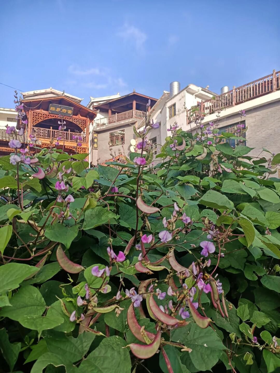 车田村景区旅行图片 2