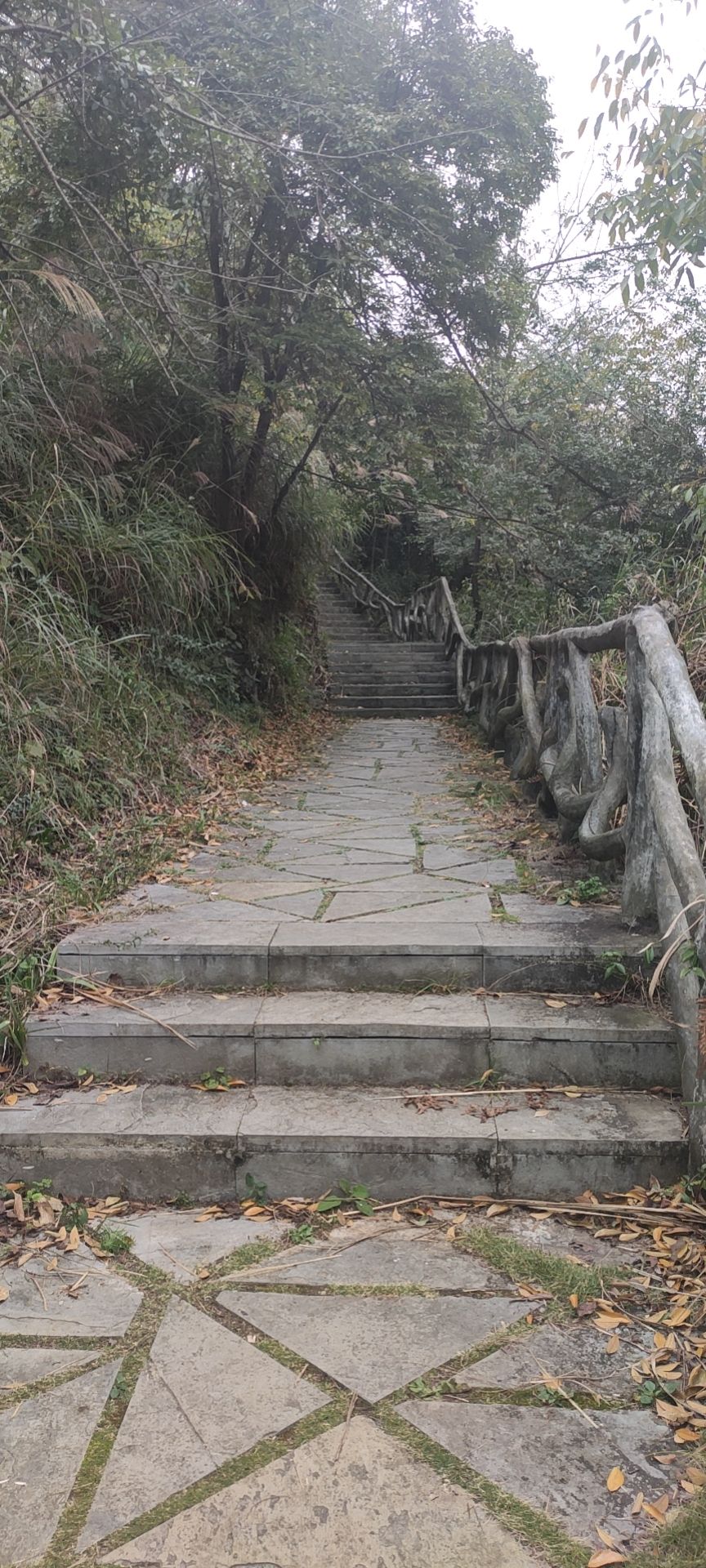 车田村景区旅行图片 3