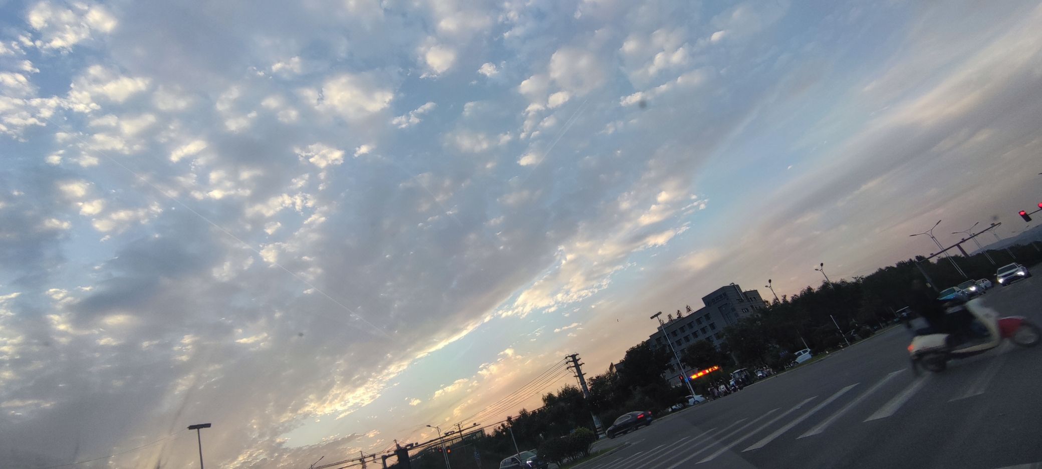 博爱公园旅行图片 3