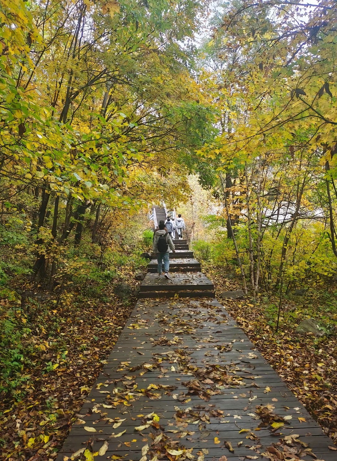 南楼山(暂停开放)旅行图片 3