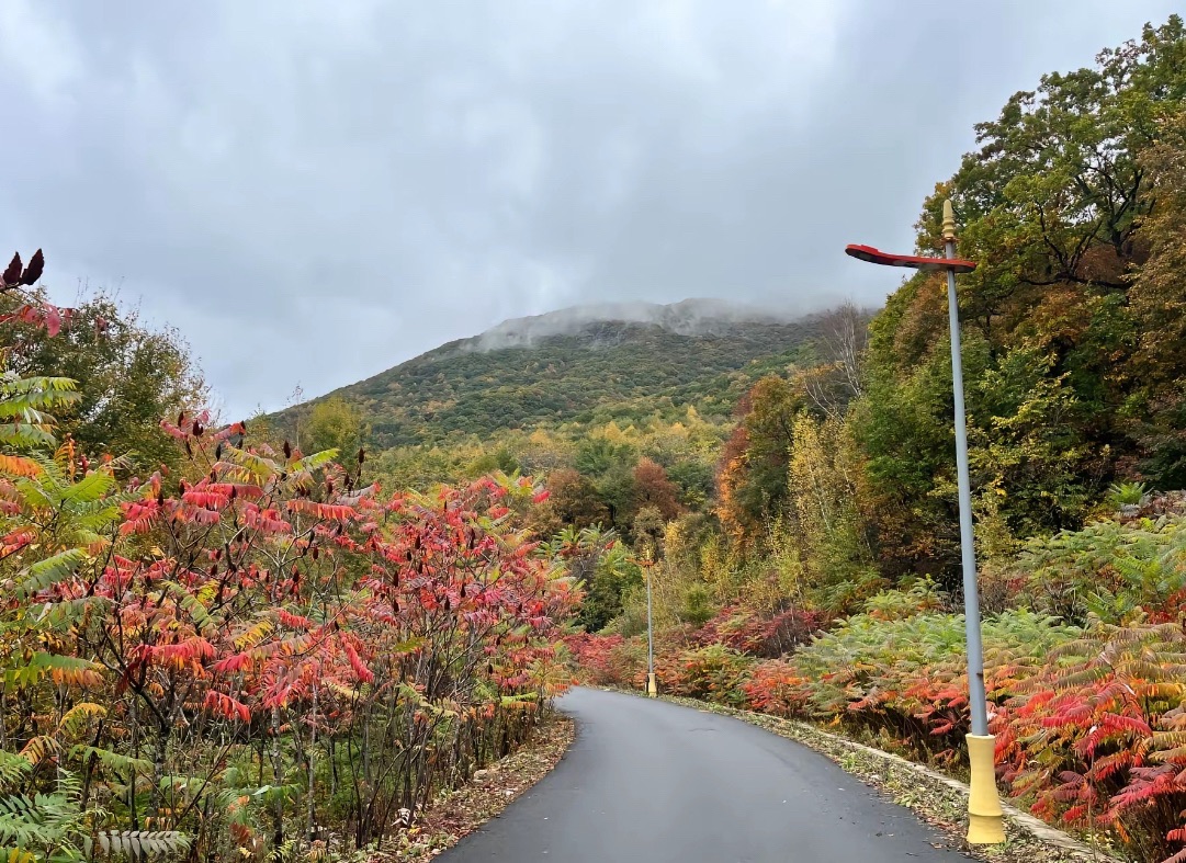 南楼山(暂停开放)旅行图片 1