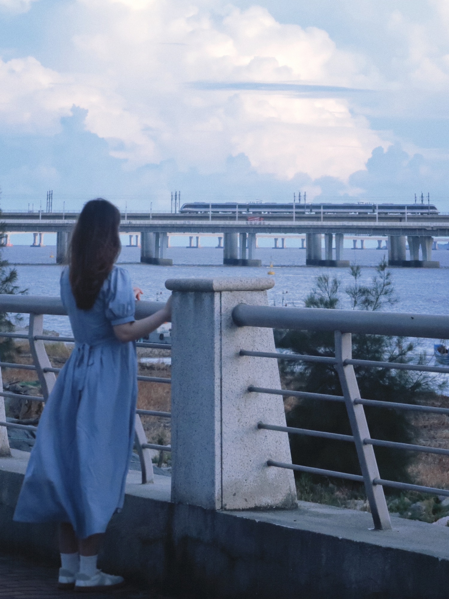 海思文化公园旅行图片 2