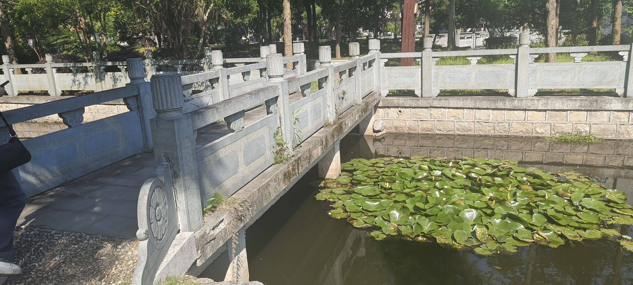 海思文化公园旅行图片 3