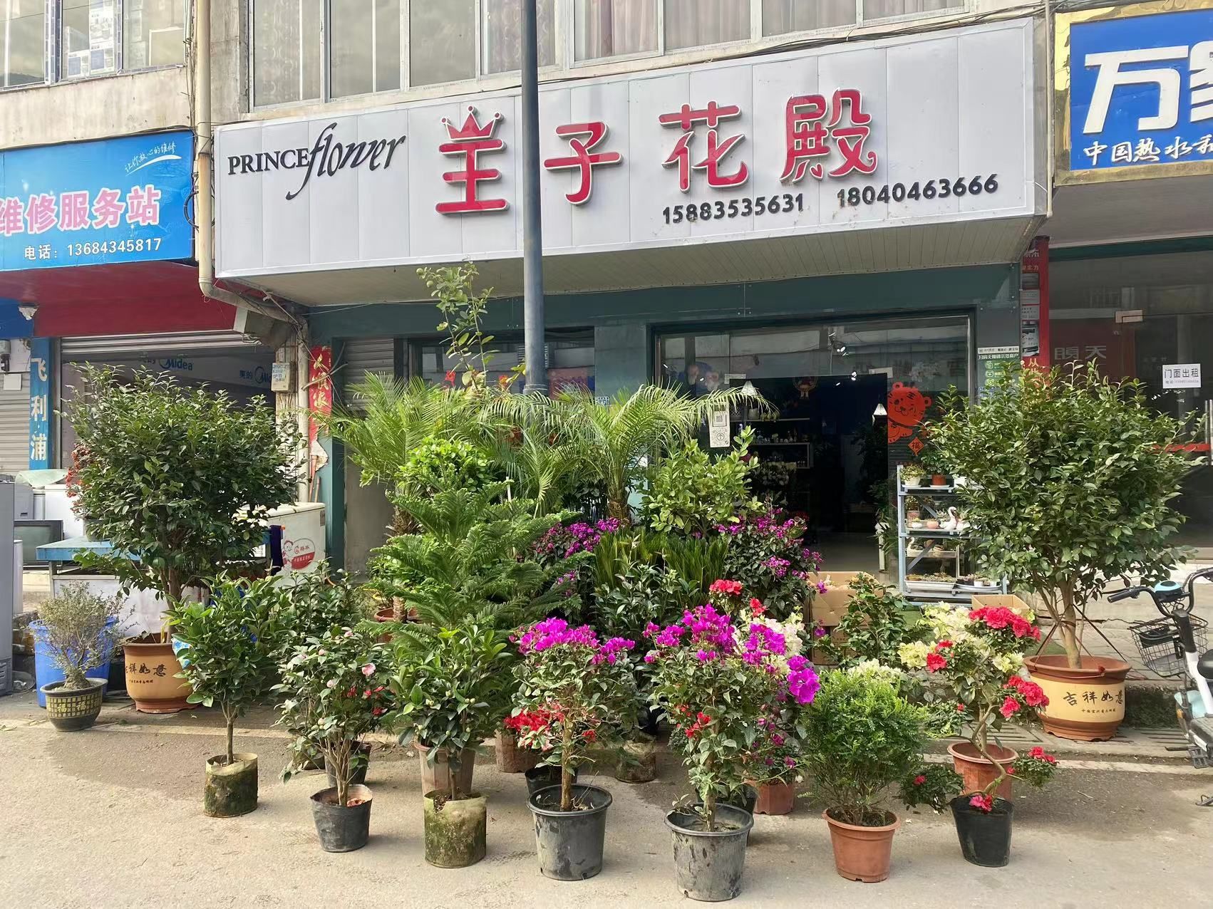 王子花殿实景照片