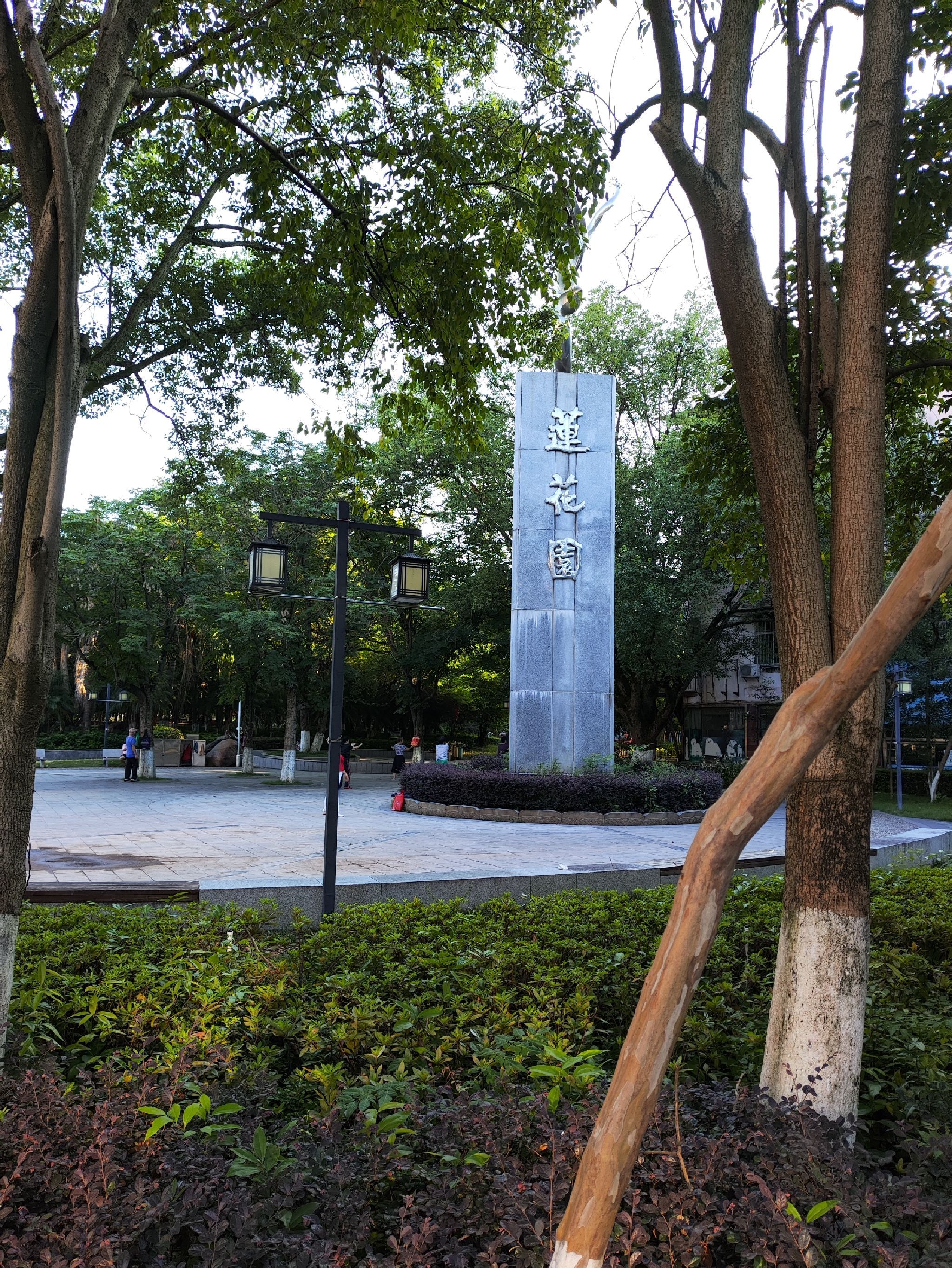 莲花园旅行图片 1