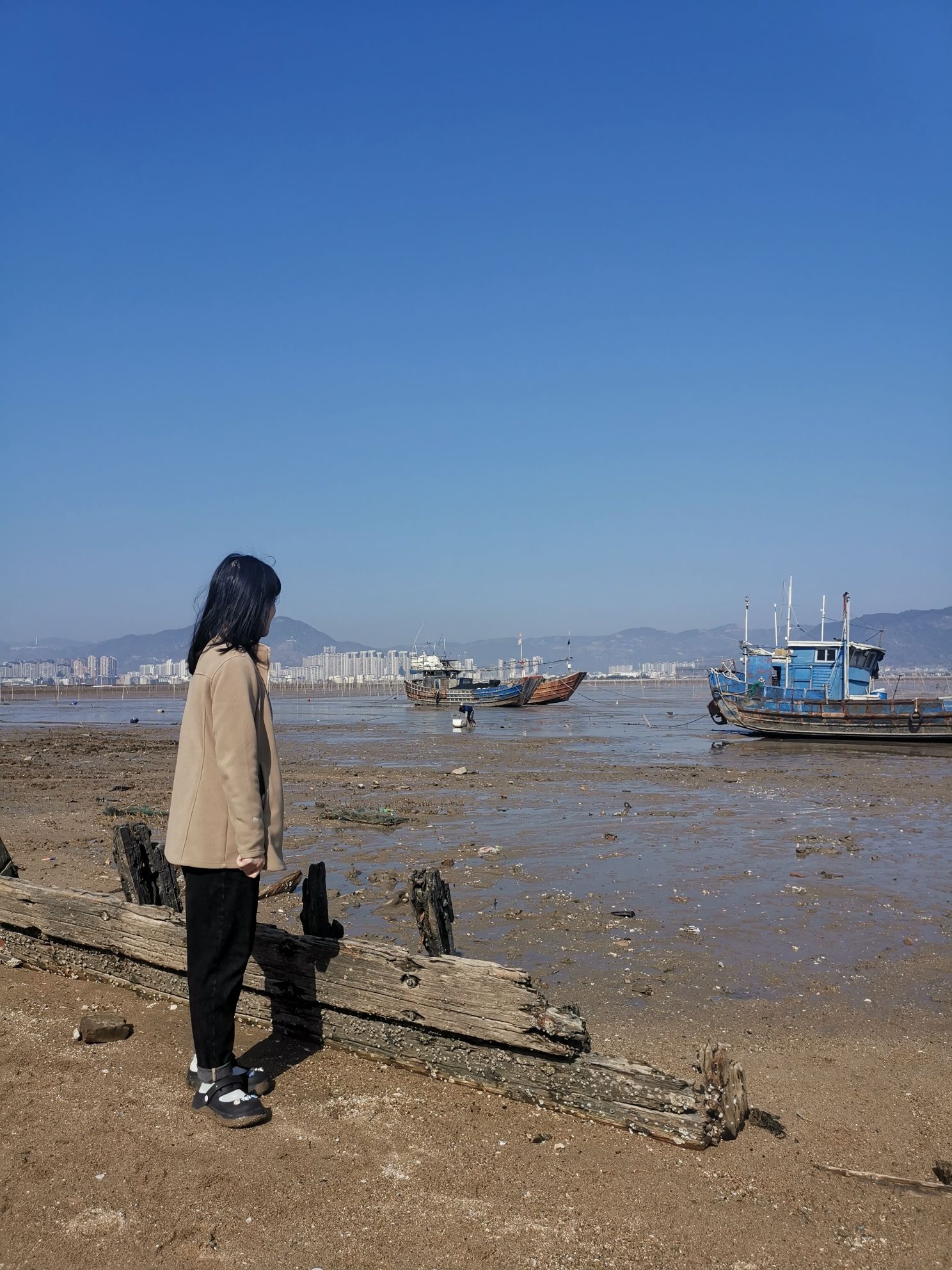 北岐滩涂旅行图片 2