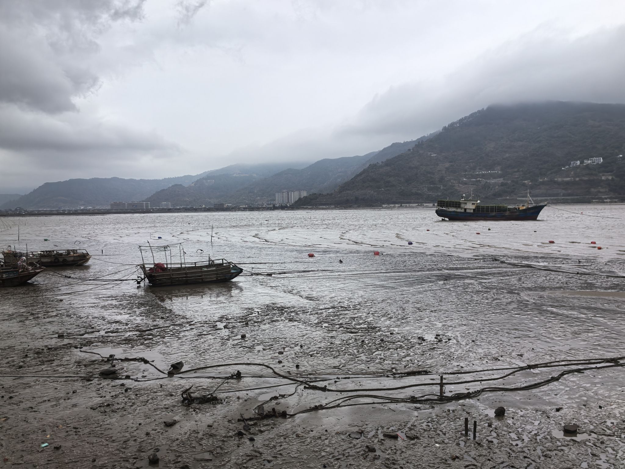 北岐滩涂旅行图片 1