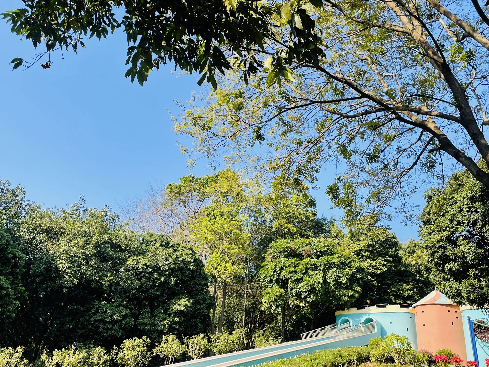 天河儿童公园旅行图片 3