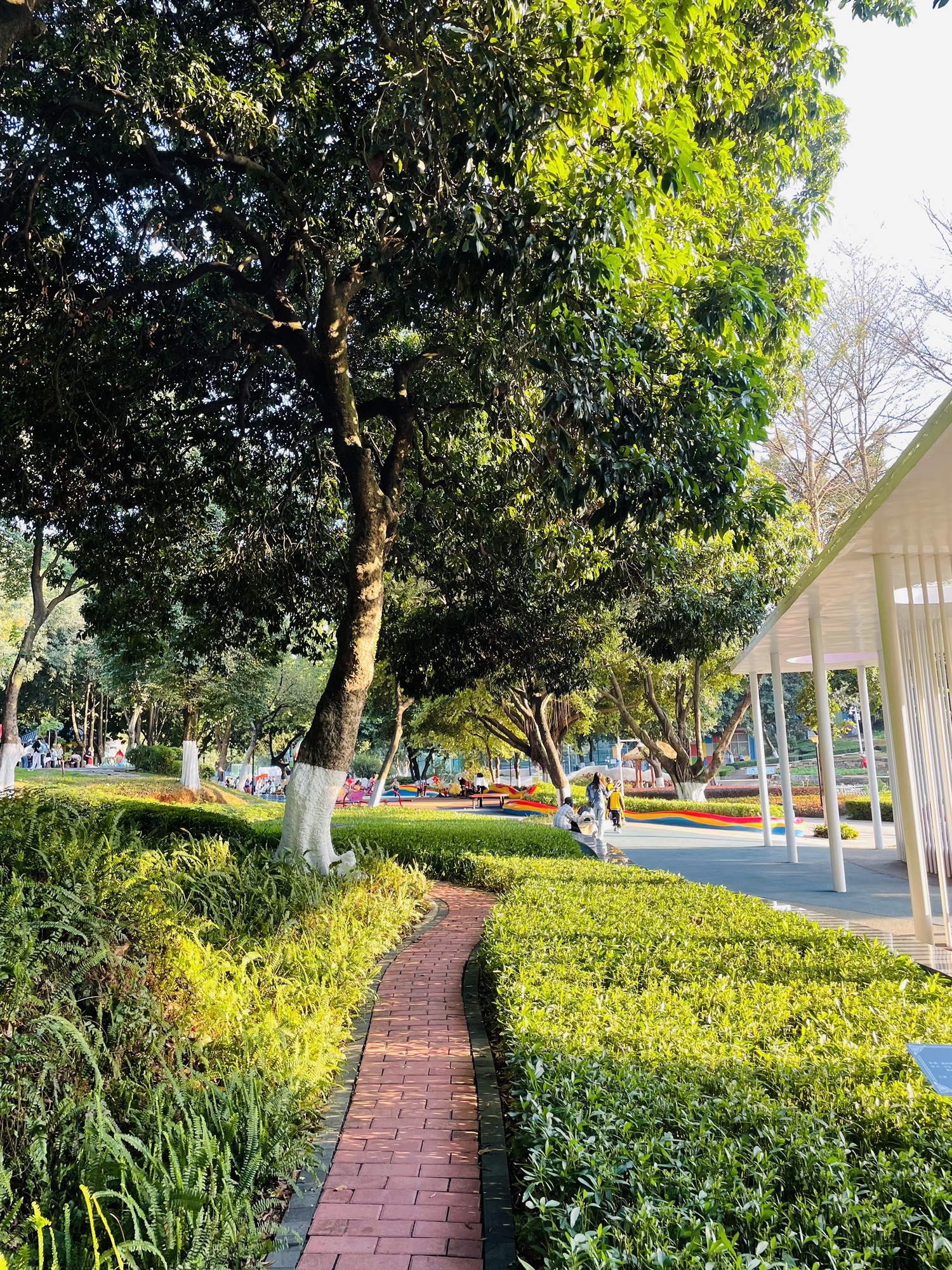 天河儿童公园旅行图片 1