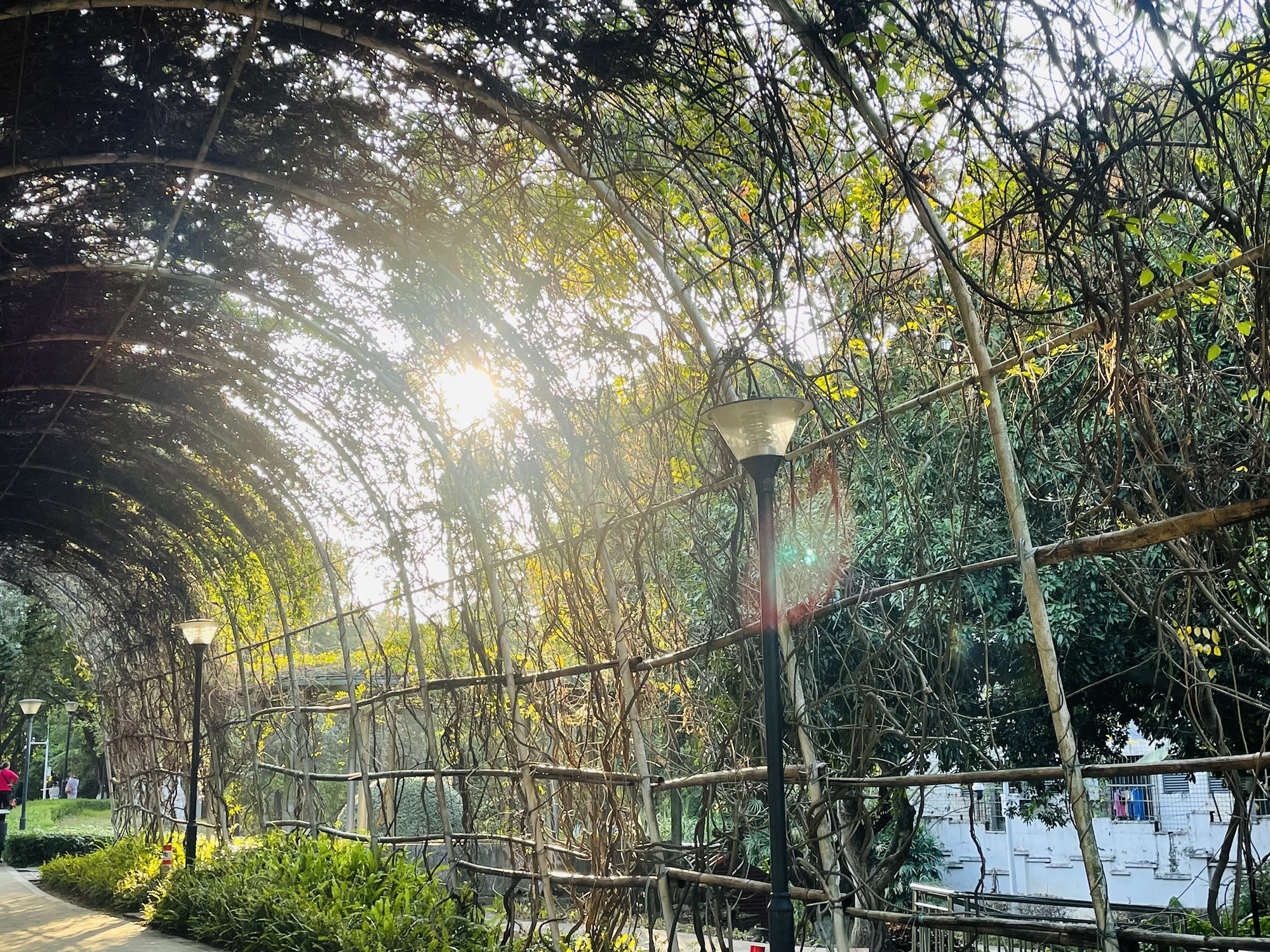 天河儿童公园旅行图片 2
