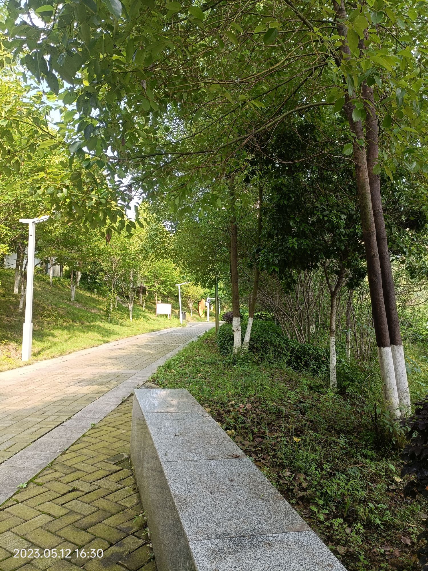 涟水河风光带旅行图片 2