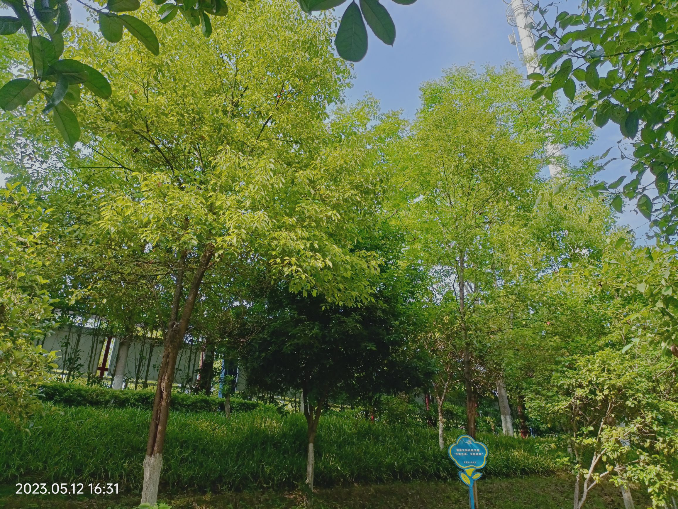 涟水河风光带旅行图片 3