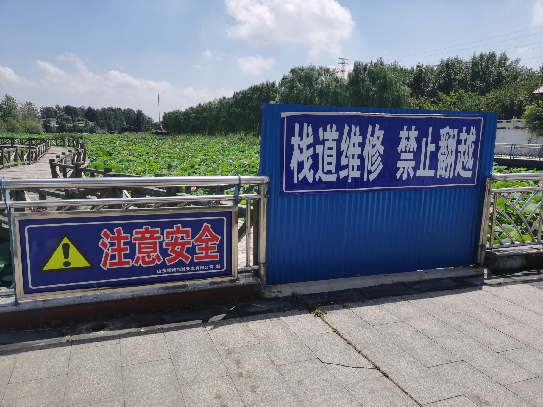 微山湖二级坝湿地景区旅行图片 1