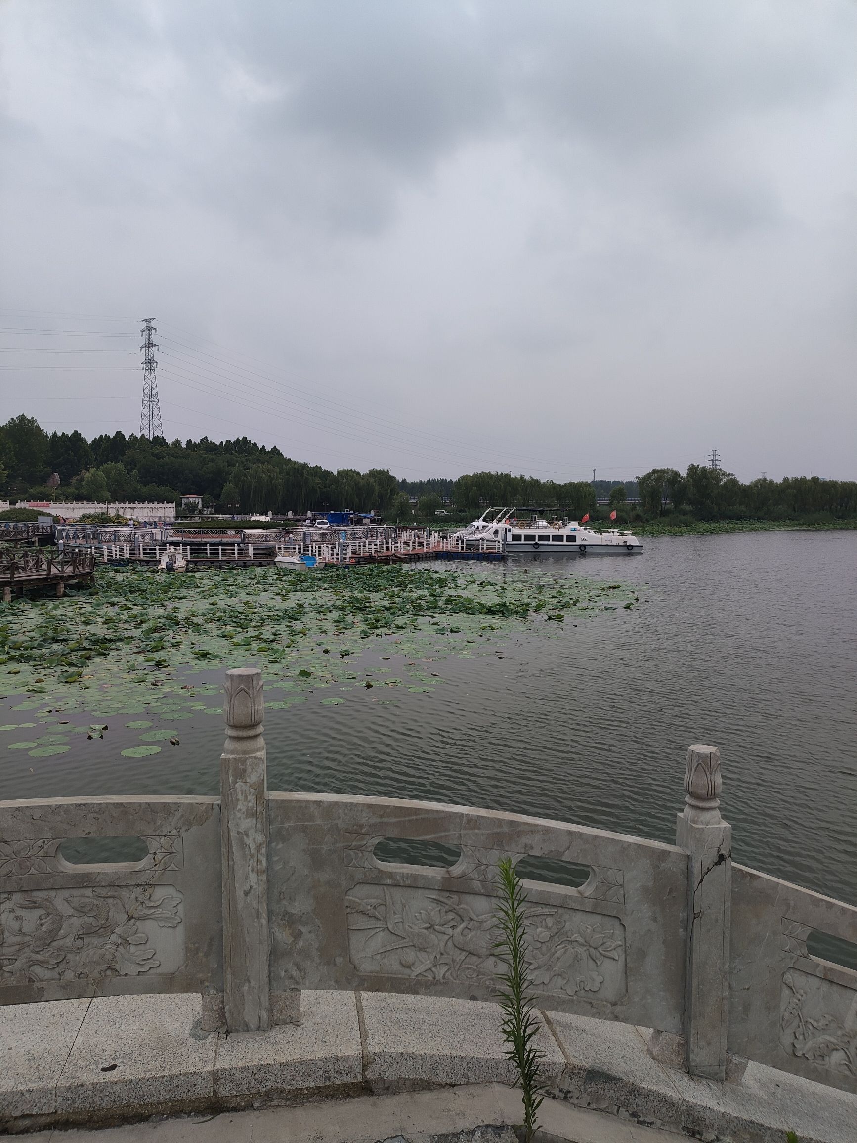 微山湖二级坝湿地景区旅行图片 3