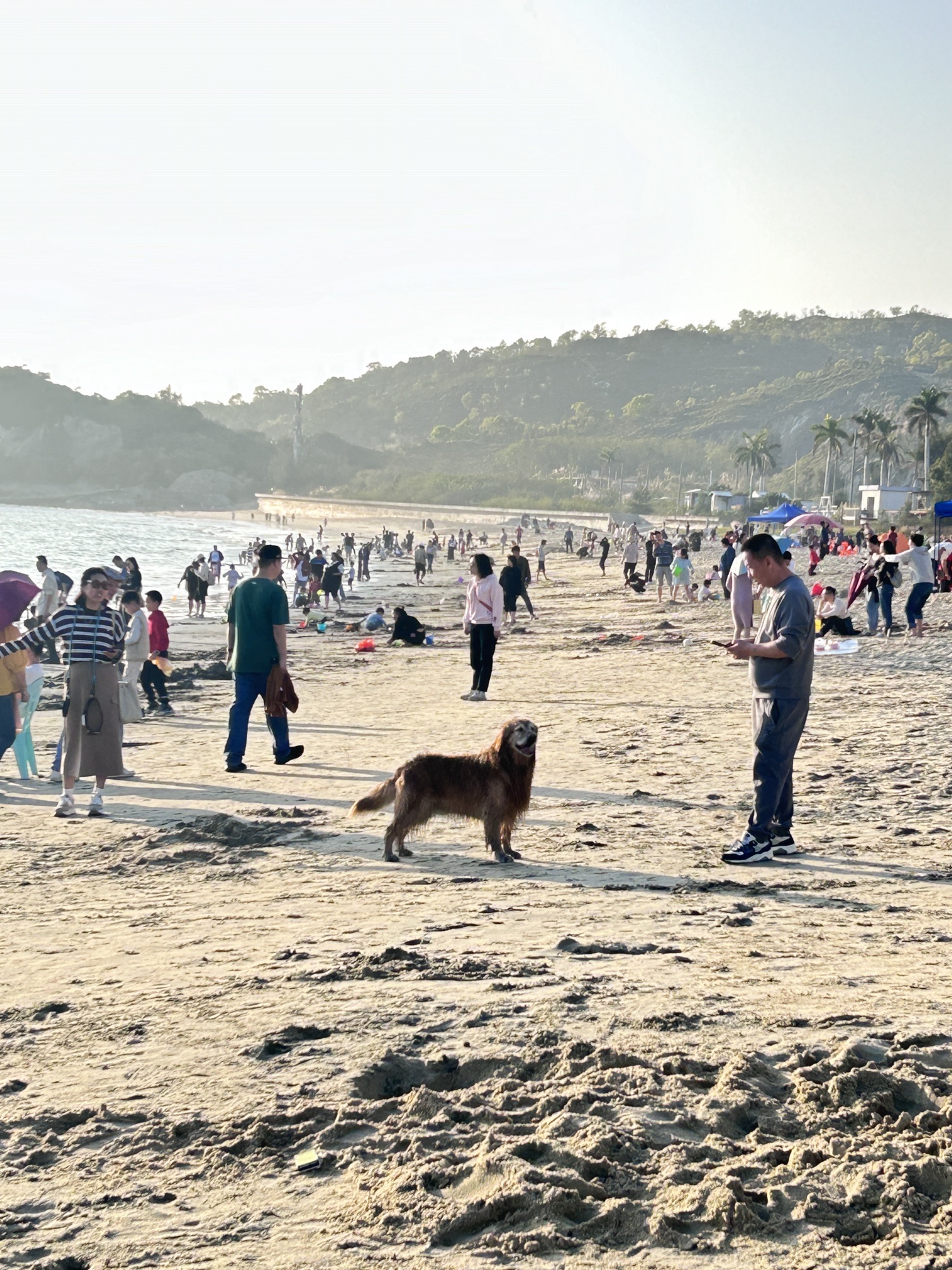 百安海滩旅行图片 3