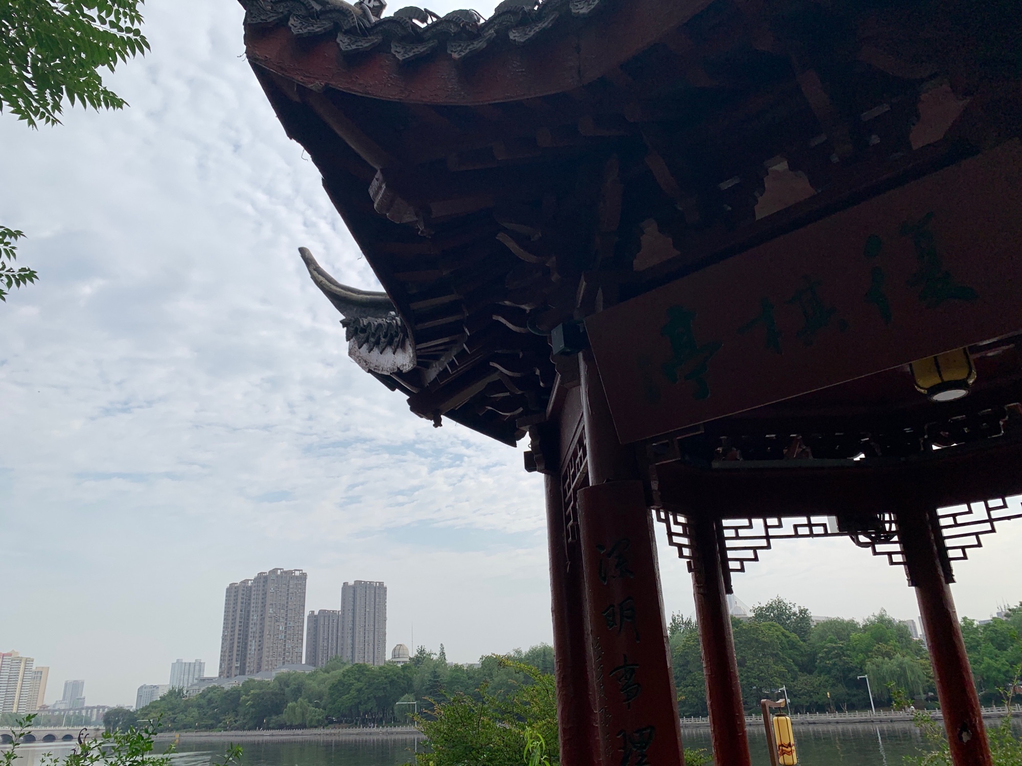 复棋亭旅行图片 1