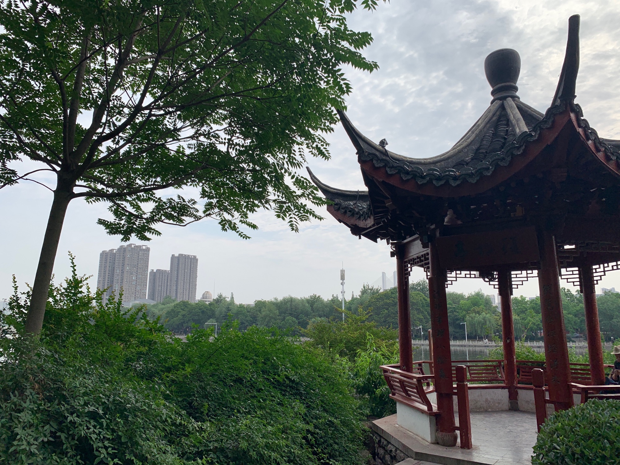 复棋亭旅行图片 2