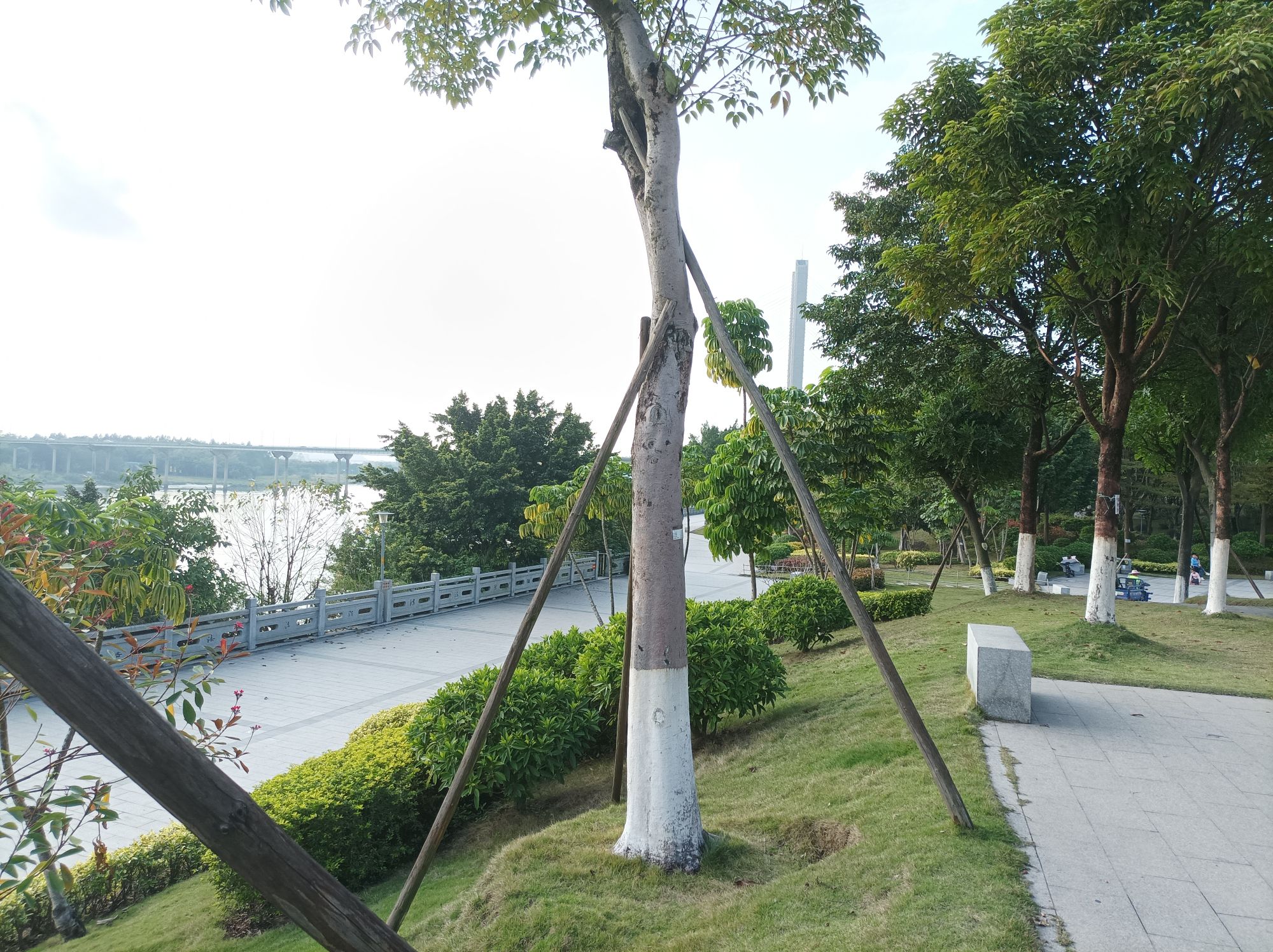 北江体育休闲公园旅行图片 2