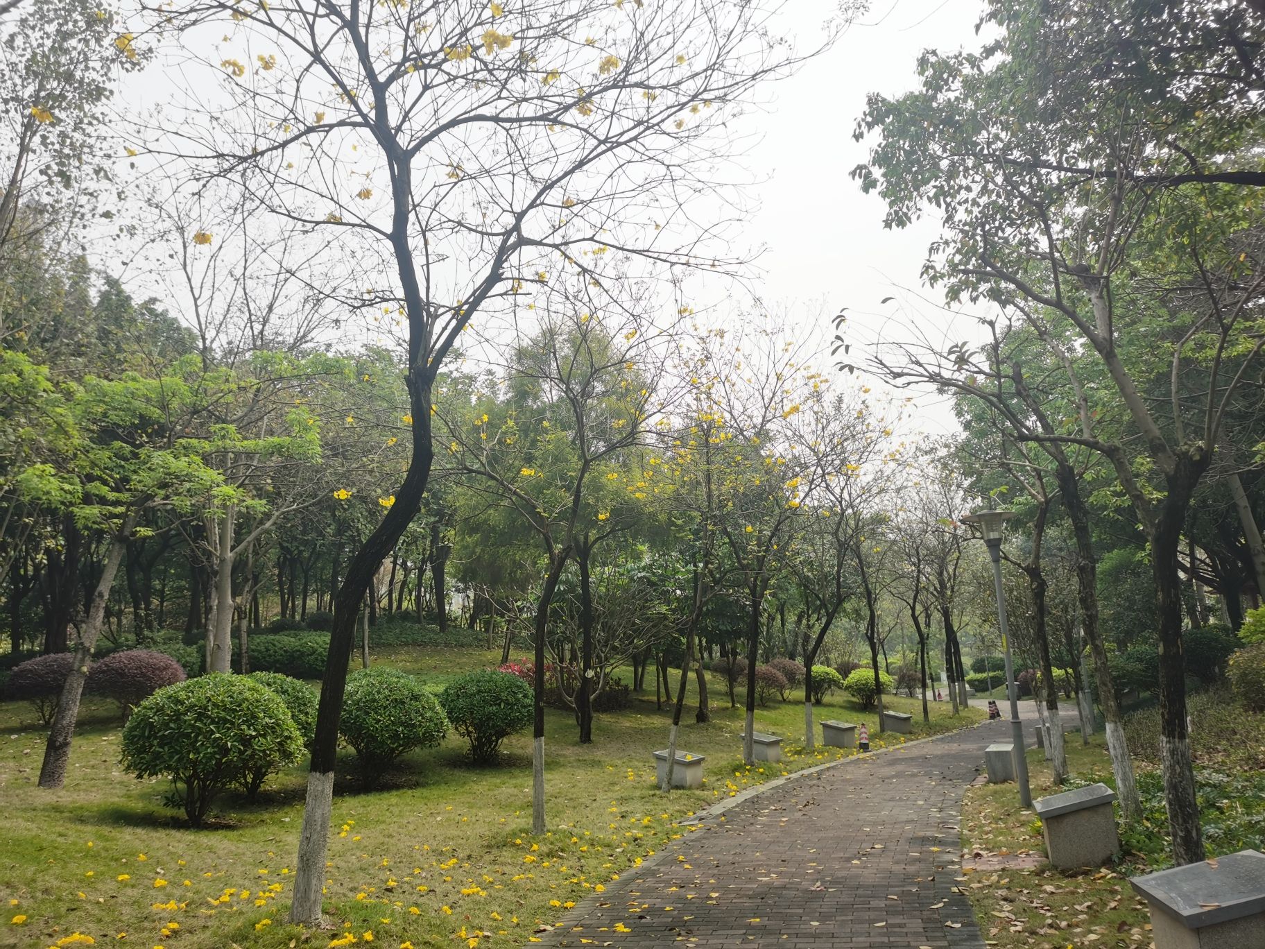 北江体育休闲公园旅行图片 2