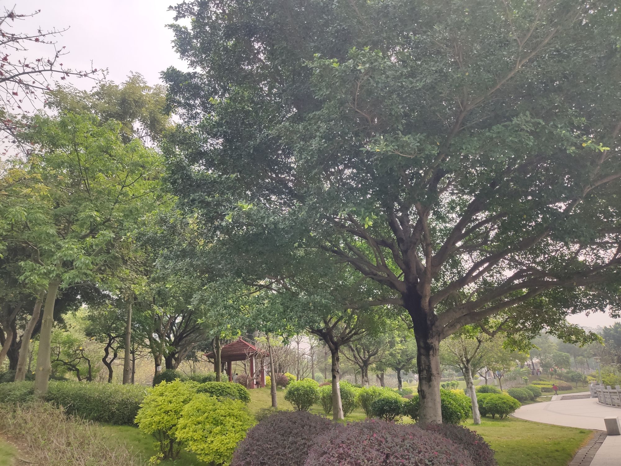 北江体育休闲公园旅行图片 3