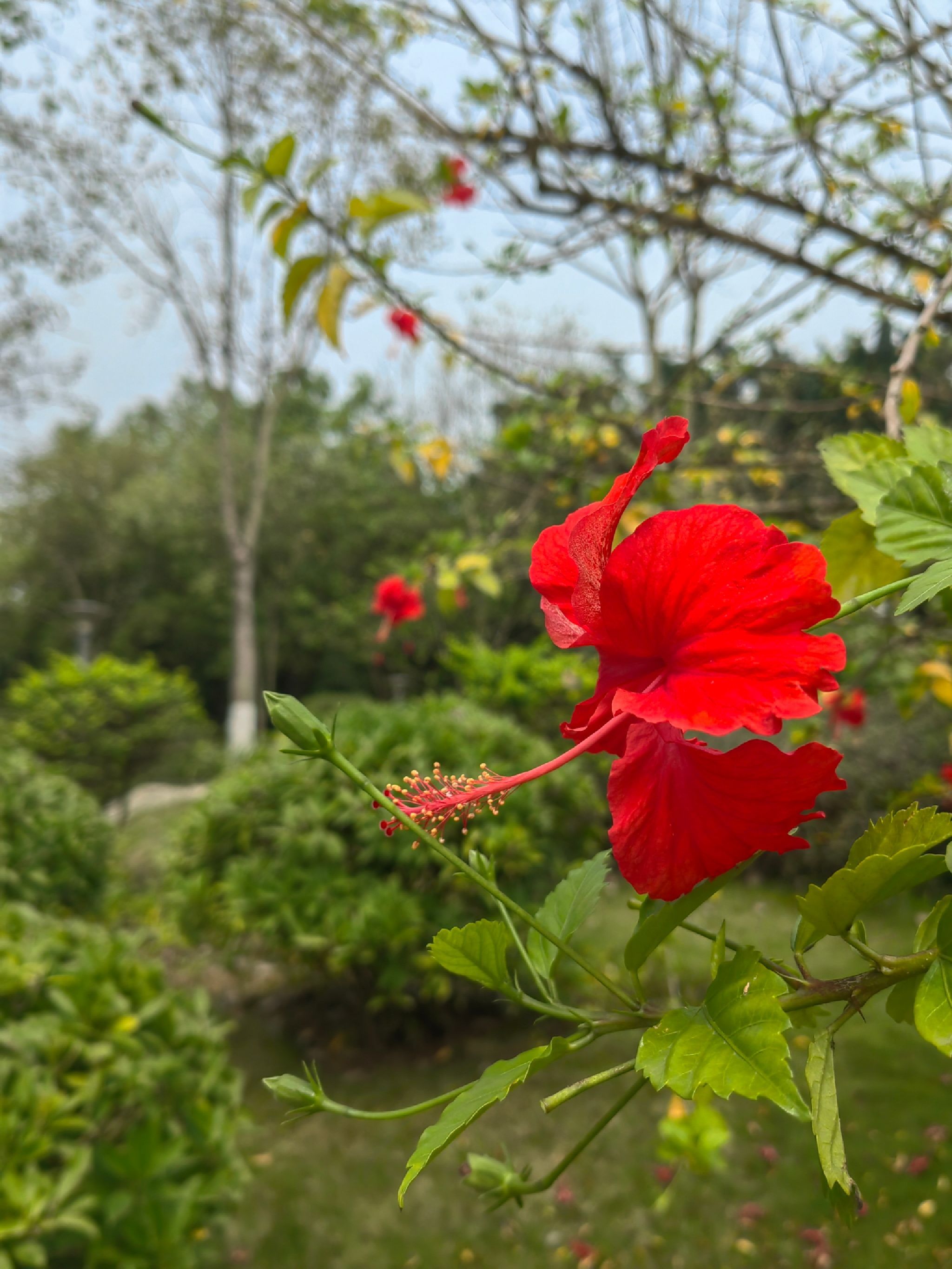 北江体育休闲公园旅行图片 1