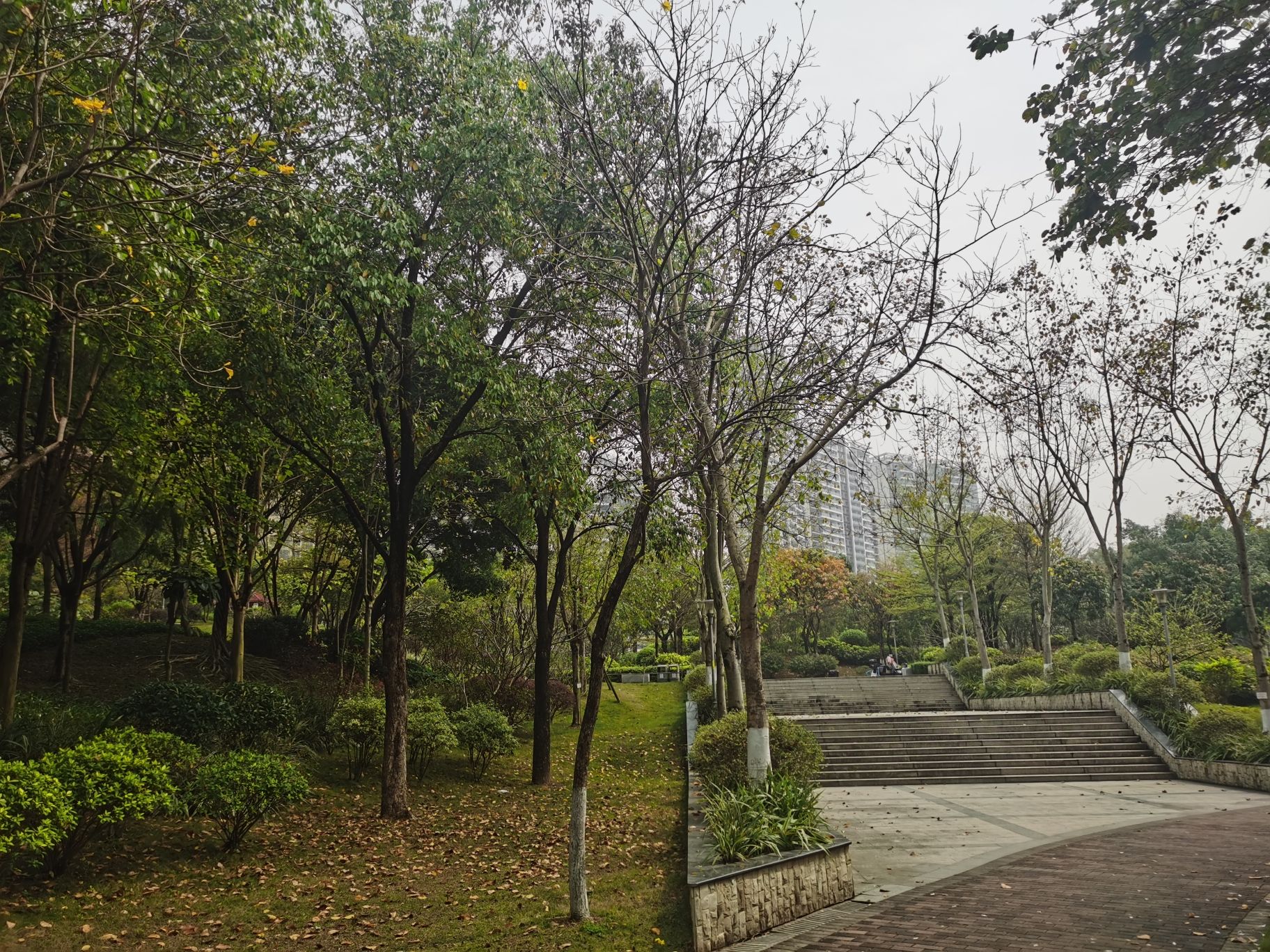 北江体育休闲公园旅行图片 3
