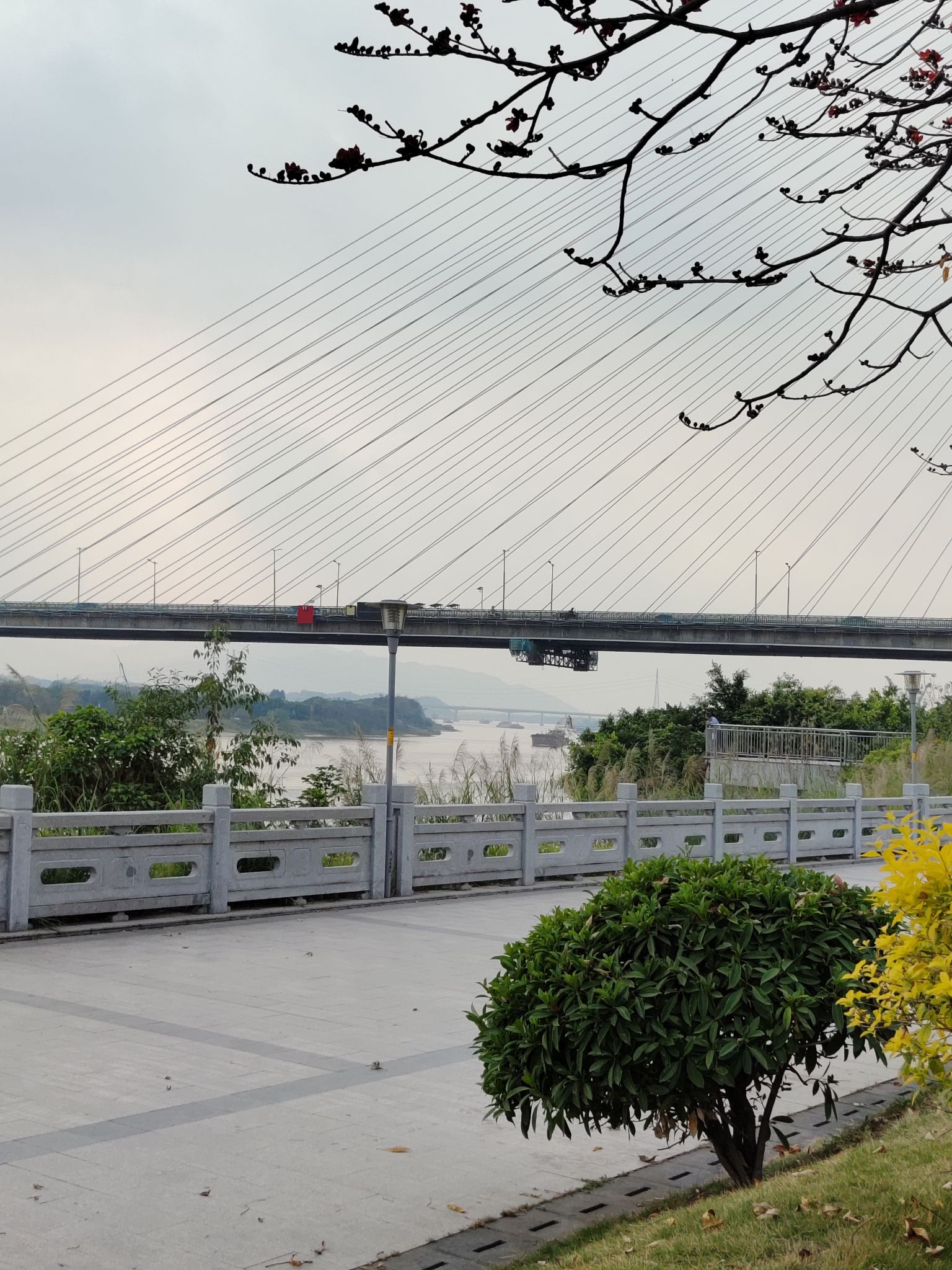 北江体育休闲公园旅行图片 1