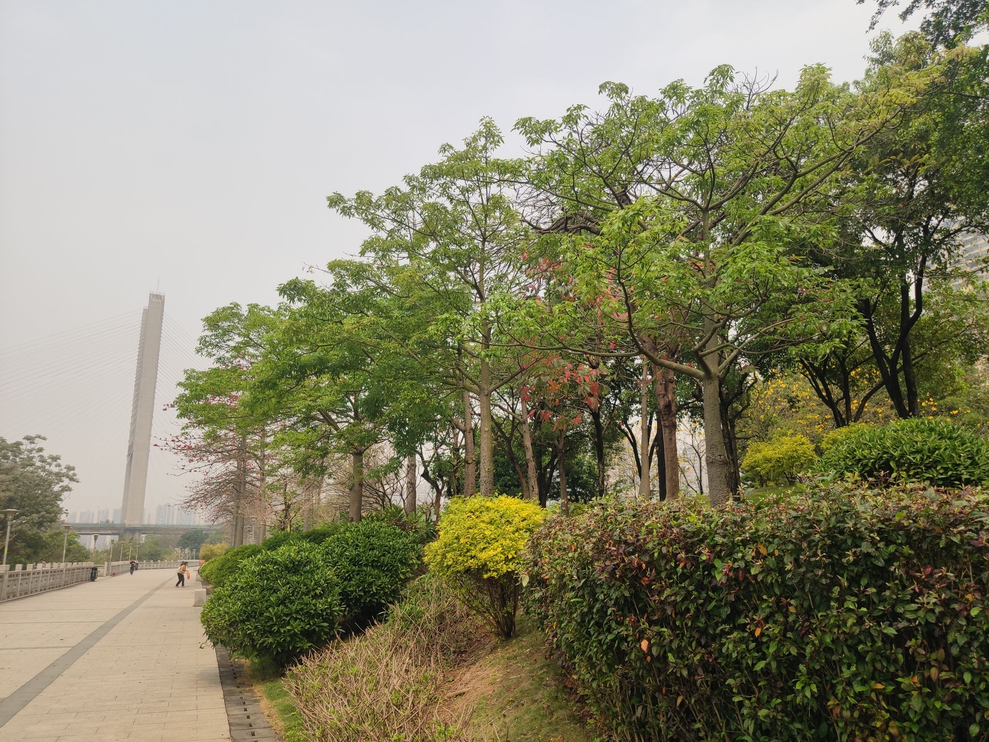 北江体育休闲公园旅行图片 2