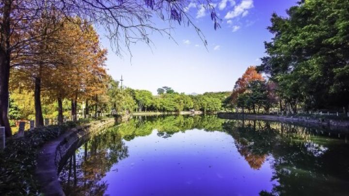 笔架山森林公园旅行图片 1