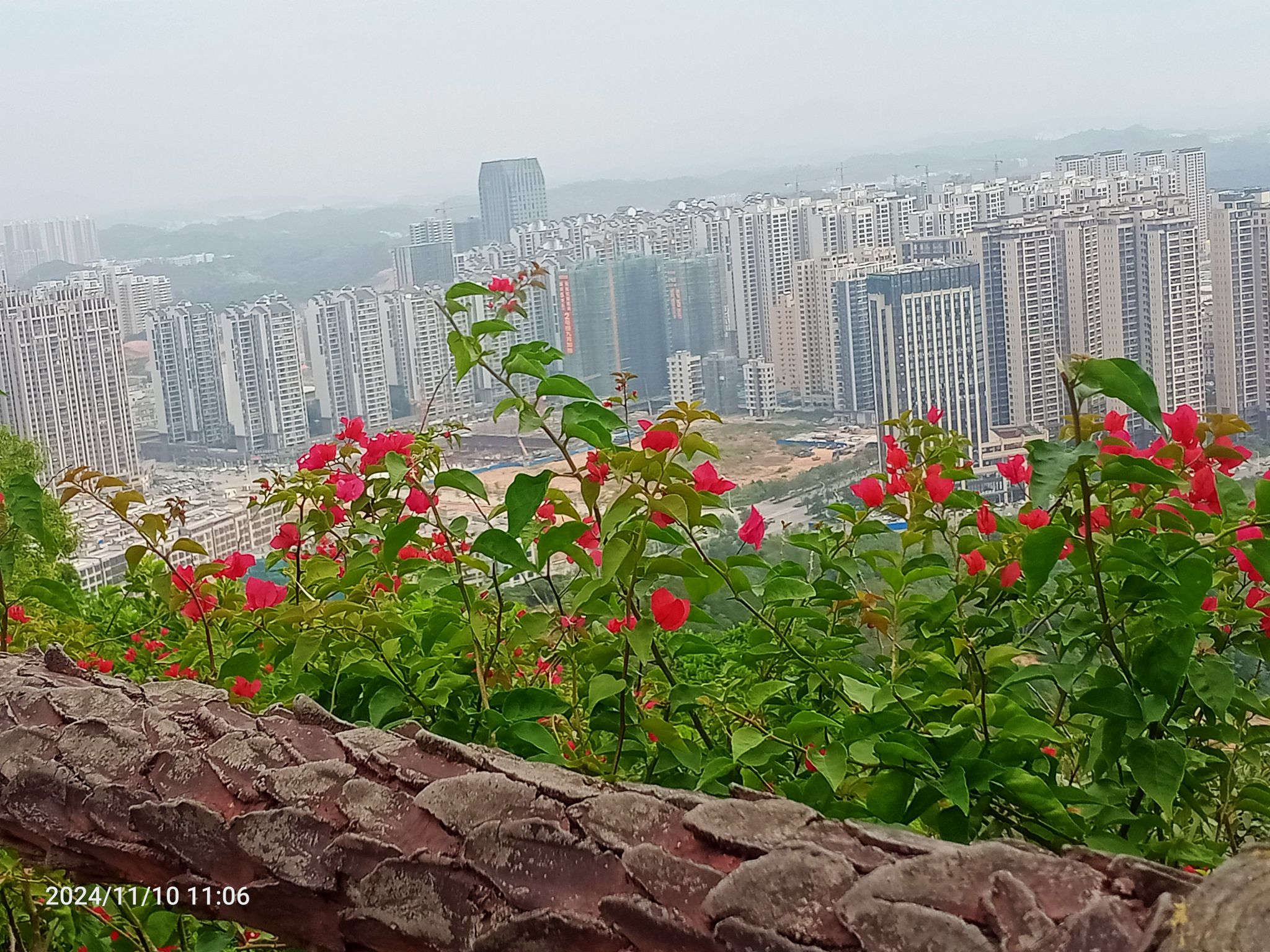笔架山森林公园旅行图片 3