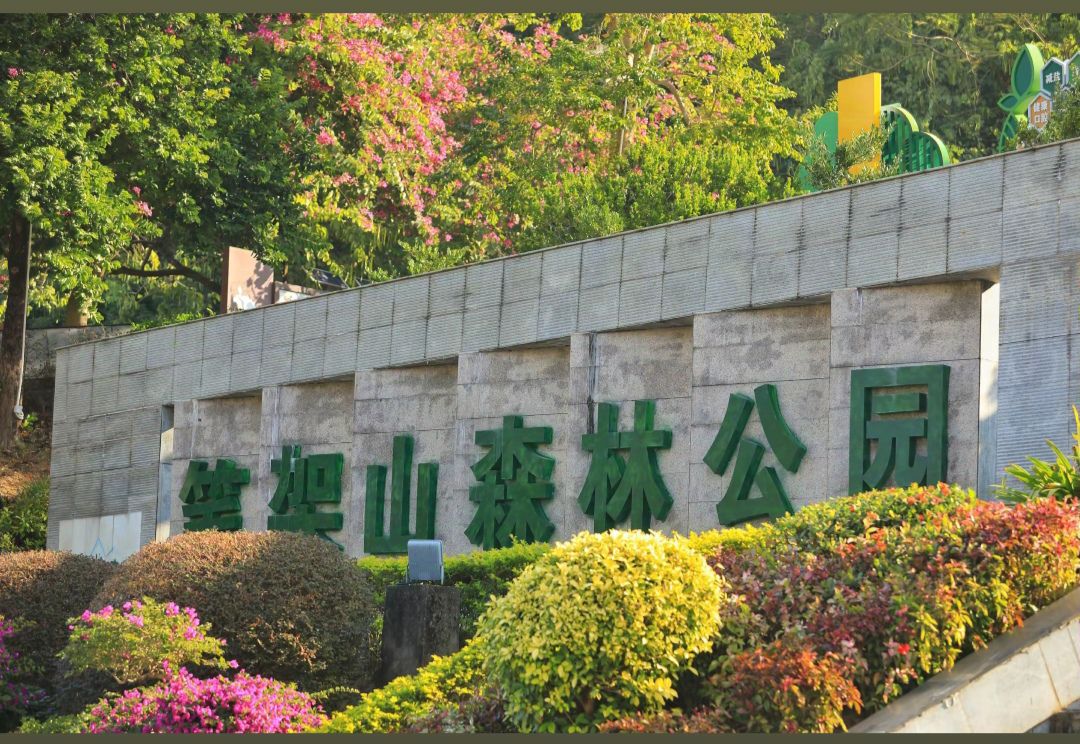 笔架山森林公园旅行图片 2