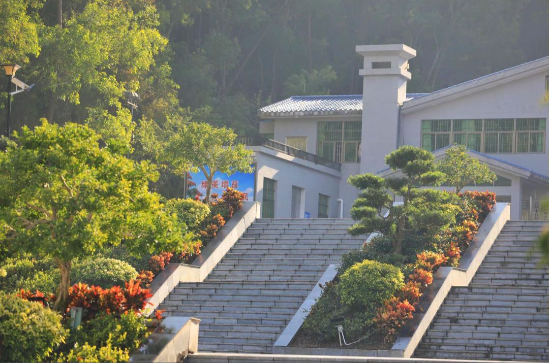 笔架山森林公园旅行图片 3