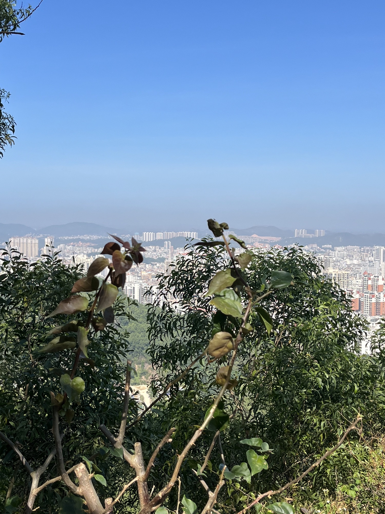 笔架山森林公园旅行图片 3