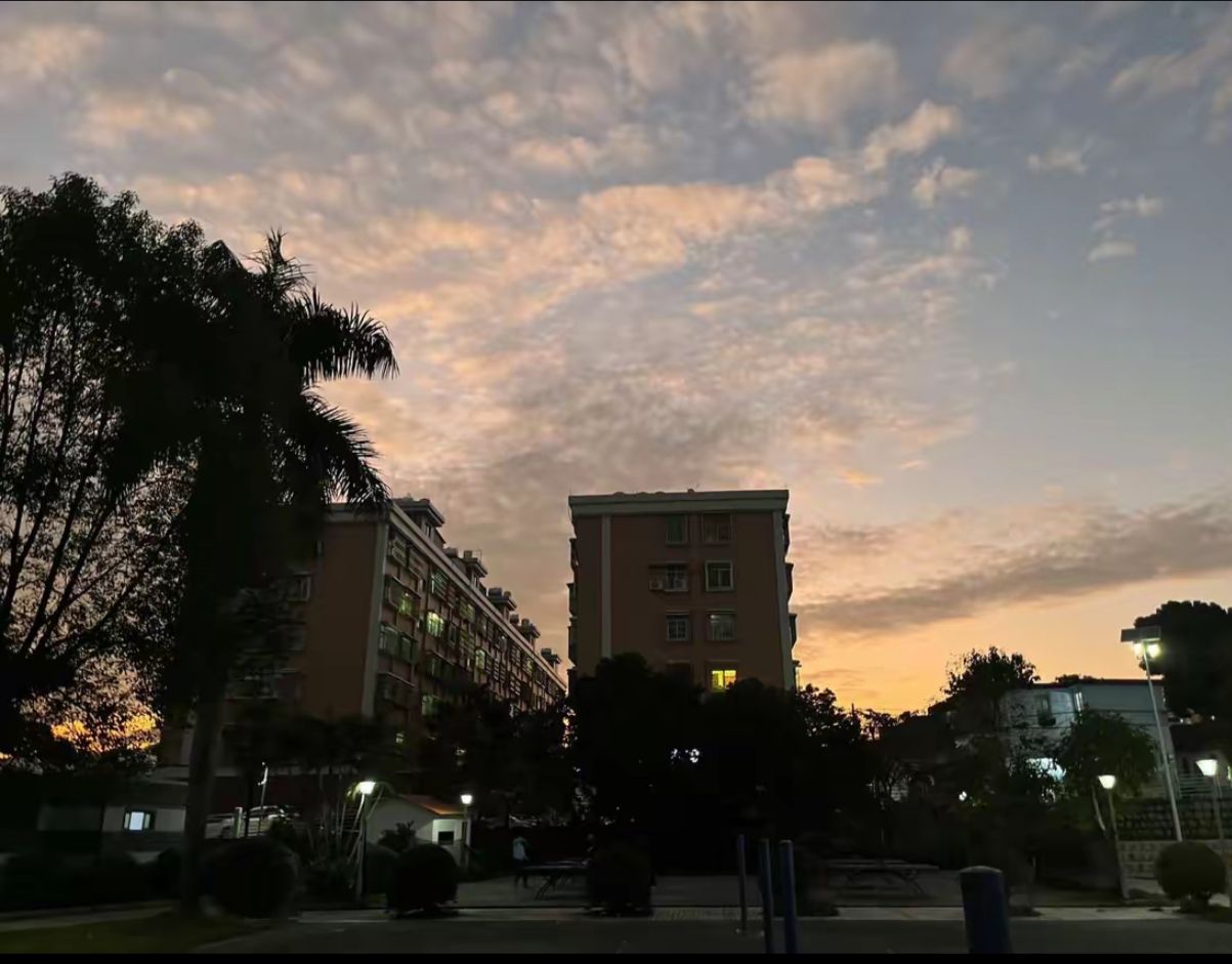 侨城公园旅行图片 1
