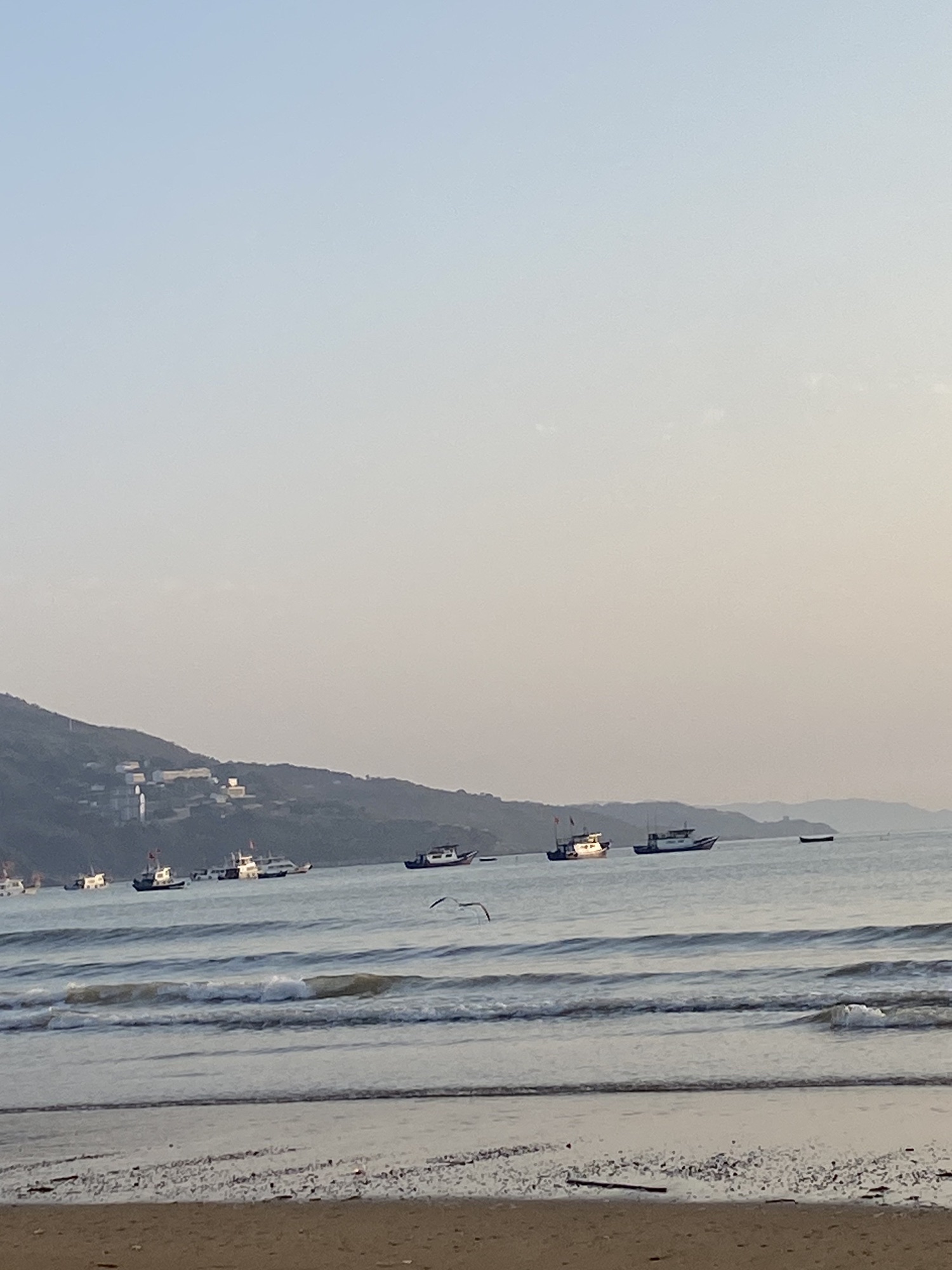 棕榈湾风景区旅行图片 3