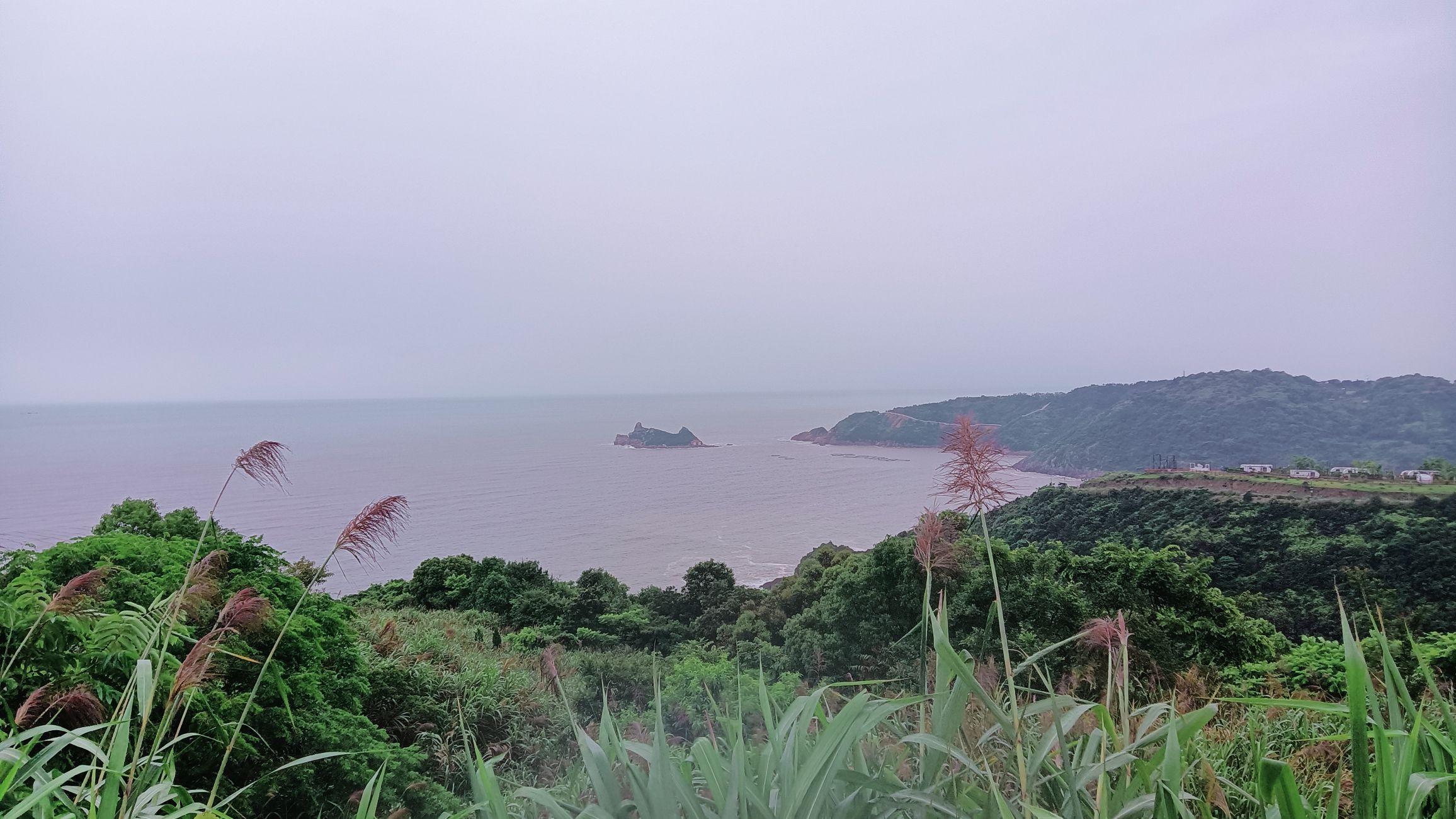 棕榈湾风景区旅行图片 2