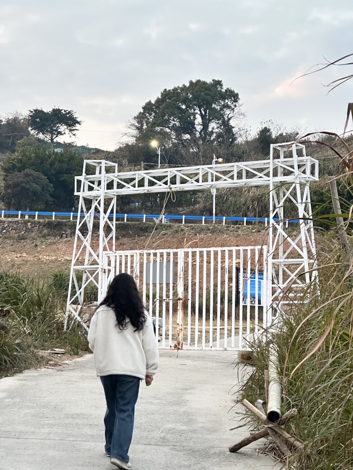棕榈湾风景区旅行图片 1
