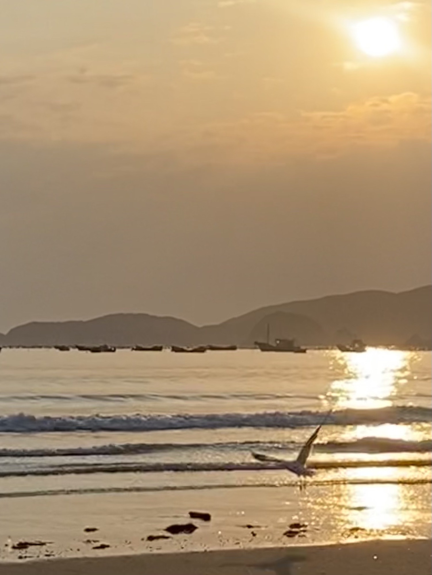 棕榈湾风景区旅行图片 1