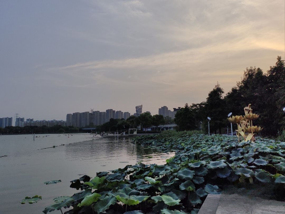 袍江洋泾湖公园旅行图片 2