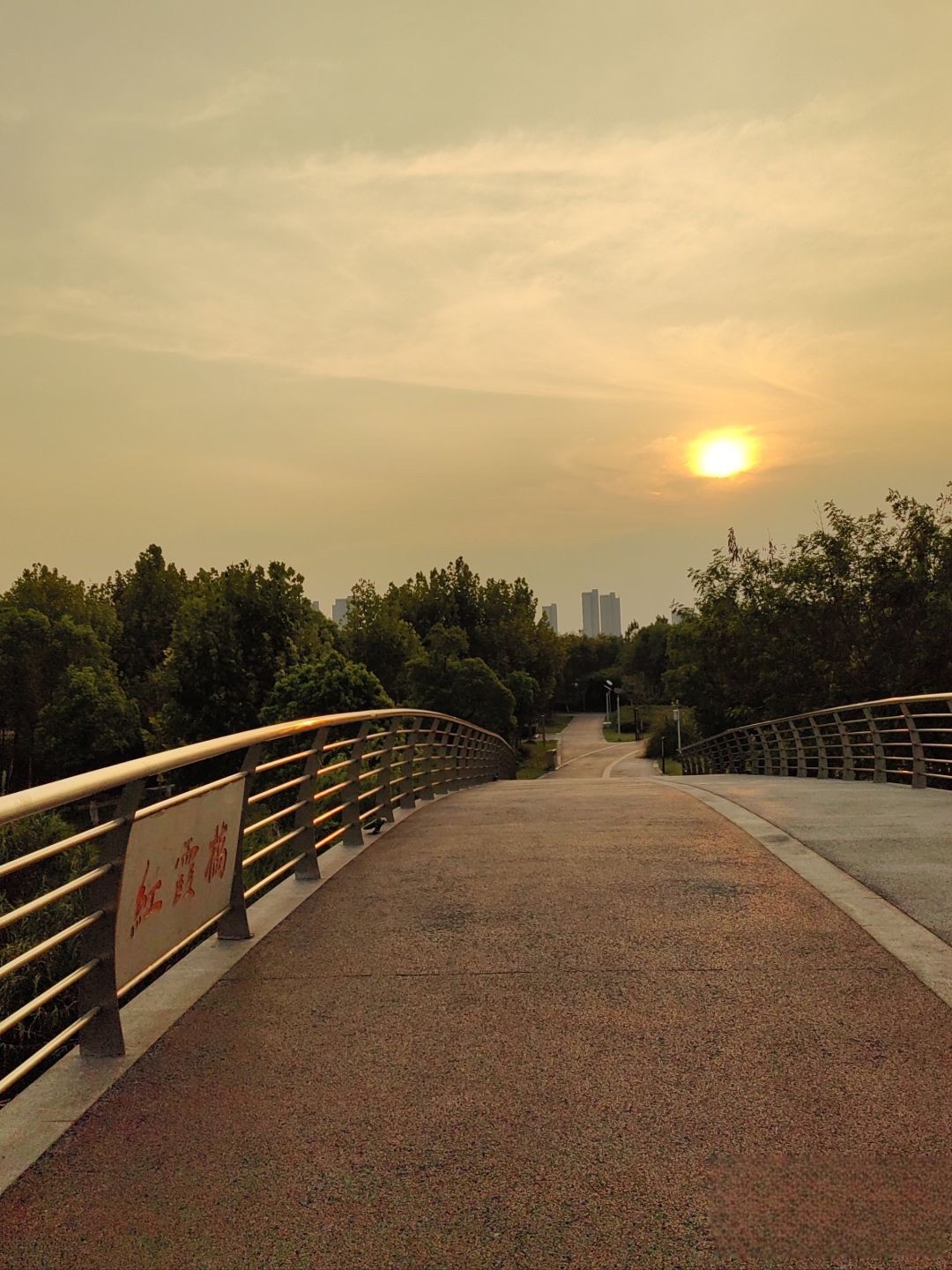 袍江洋泾湖公园旅行图片 3