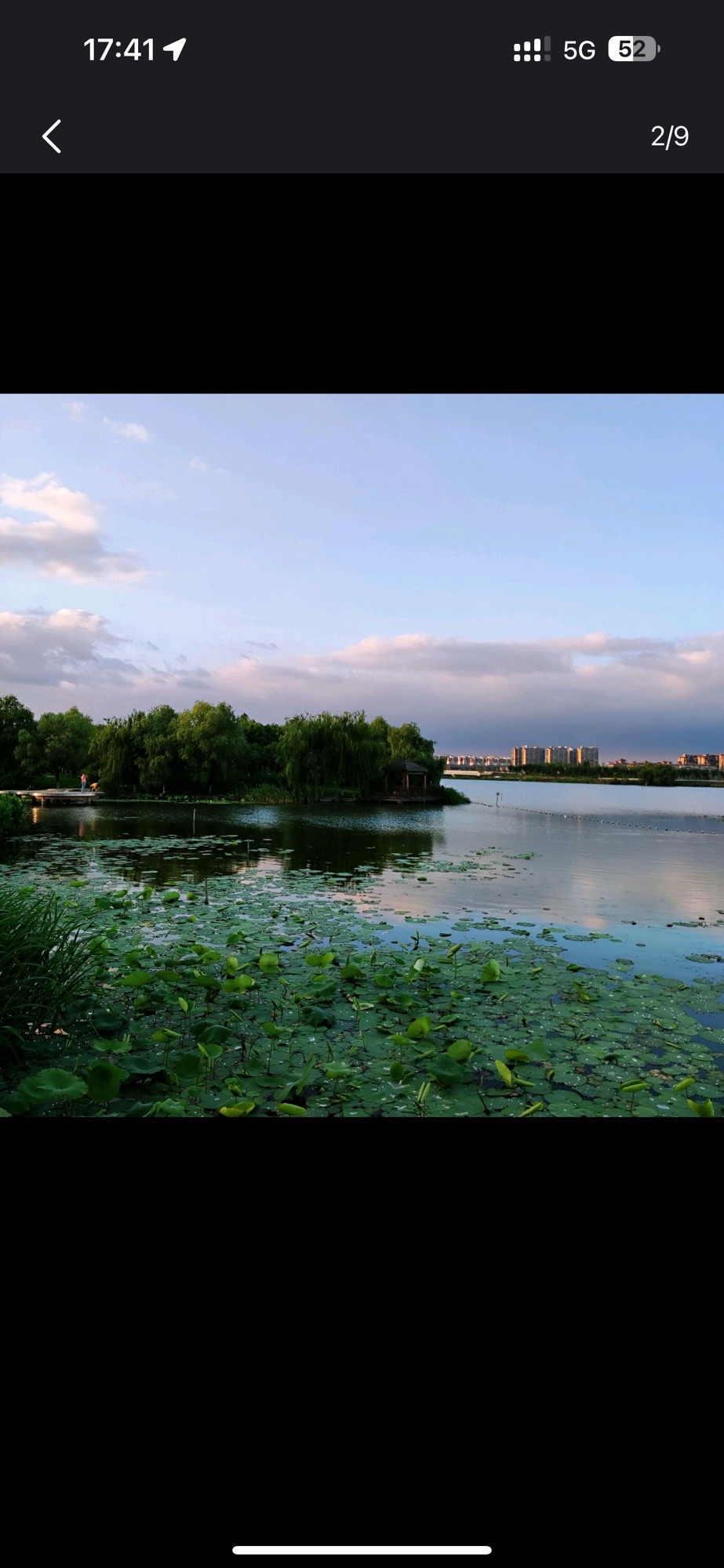袍江洋泾湖公园旅行图片 3