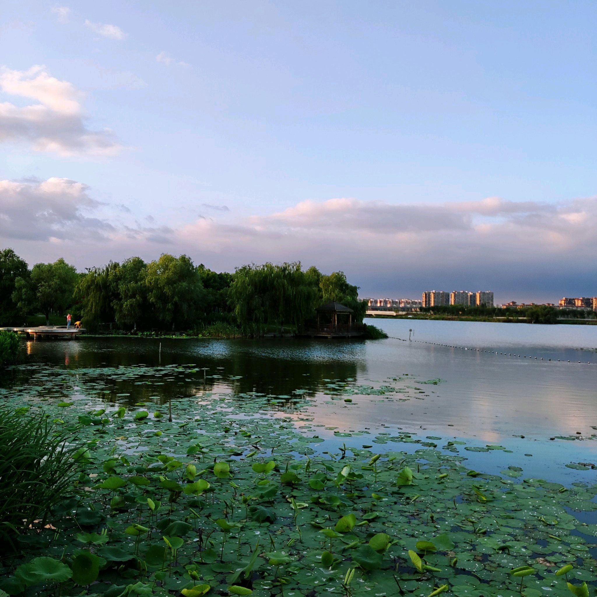 袍江洋泾湖公园旅行图片 2