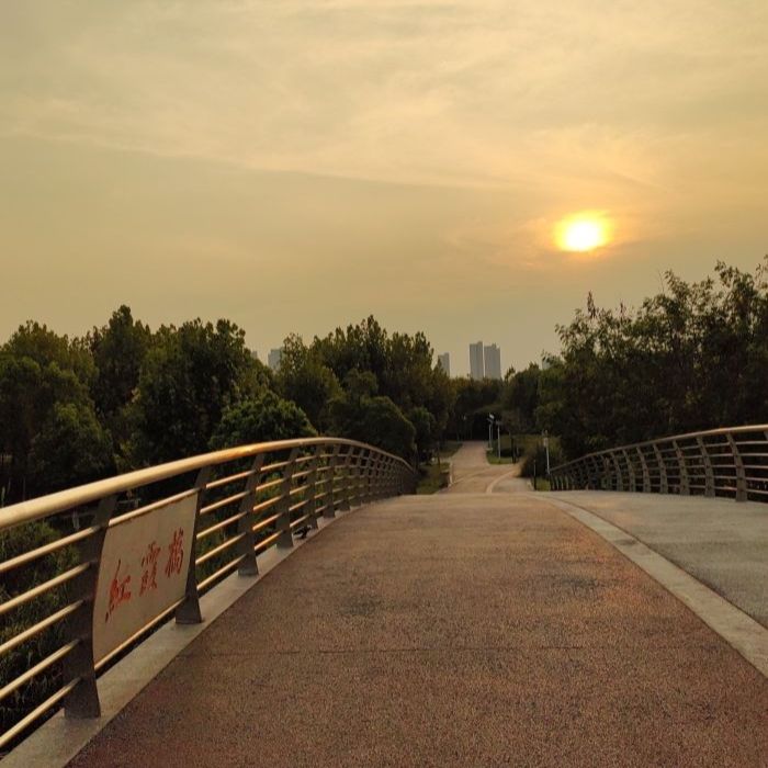 袍江洋泾湖公园旅行图片 3