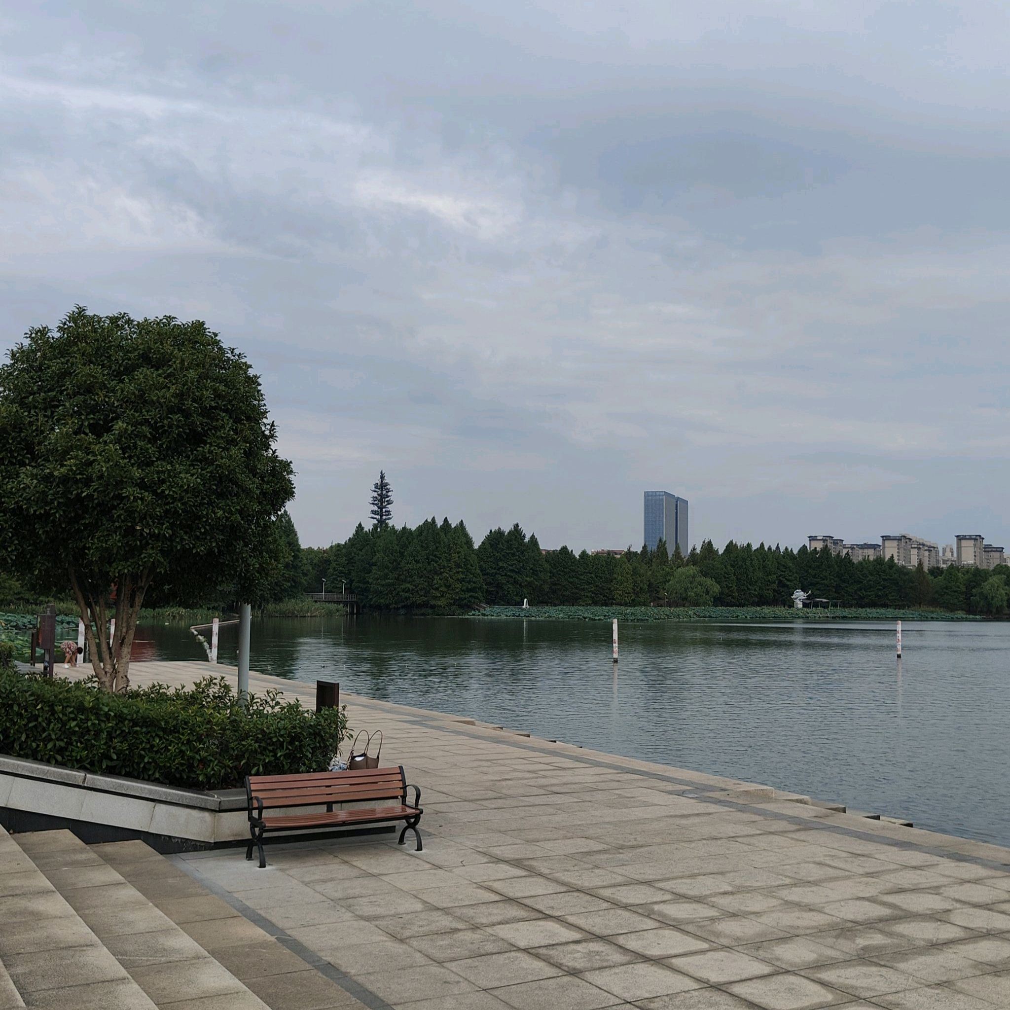 袍江洋泾湖公园旅行图片 1