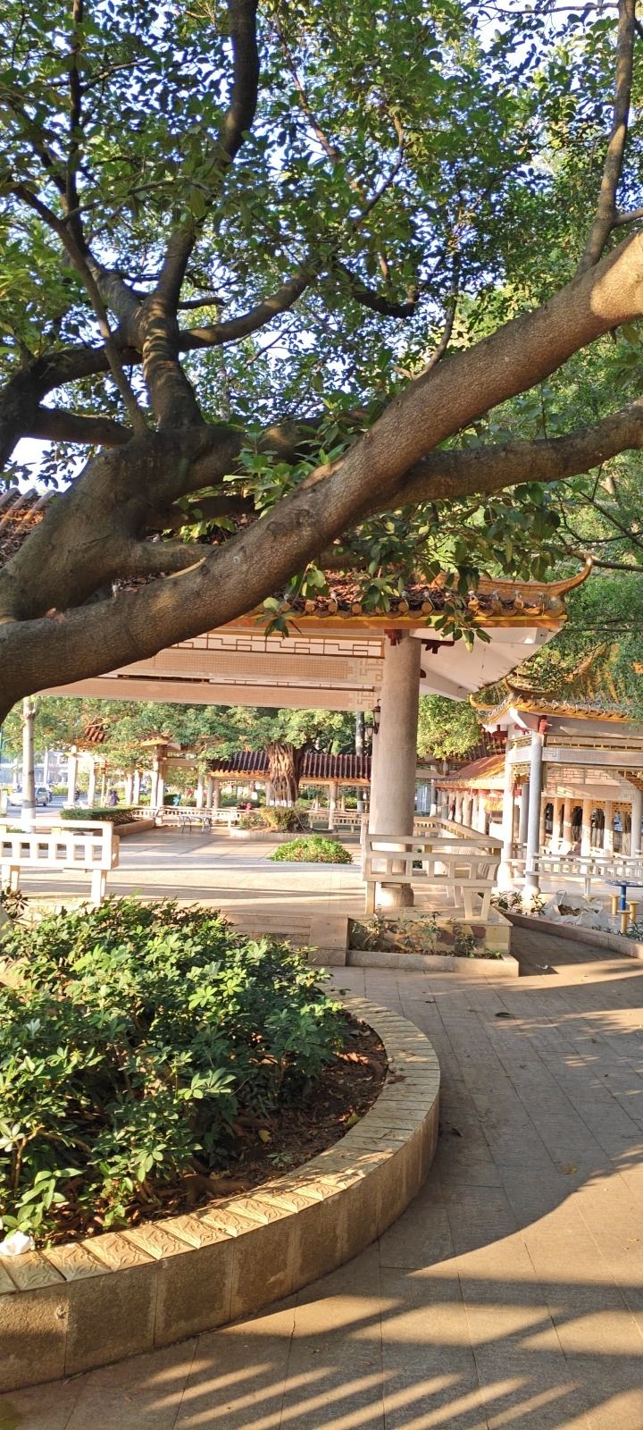 滨江社区体育公园旅行图片 1