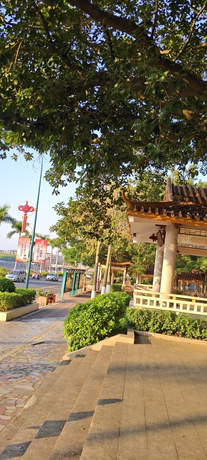 滨江社区体育公园旅行图片 2
