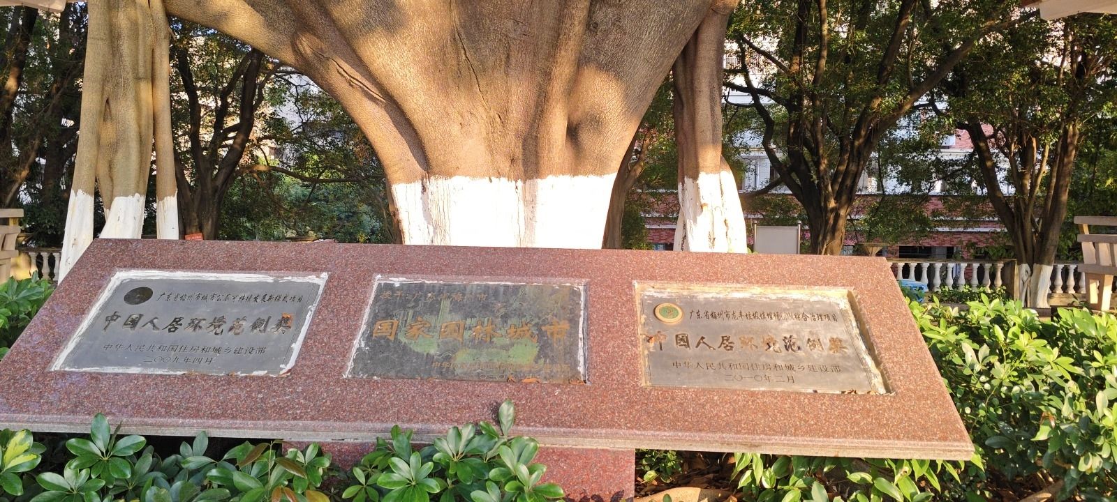 滨江社区体育公园旅行图片 3