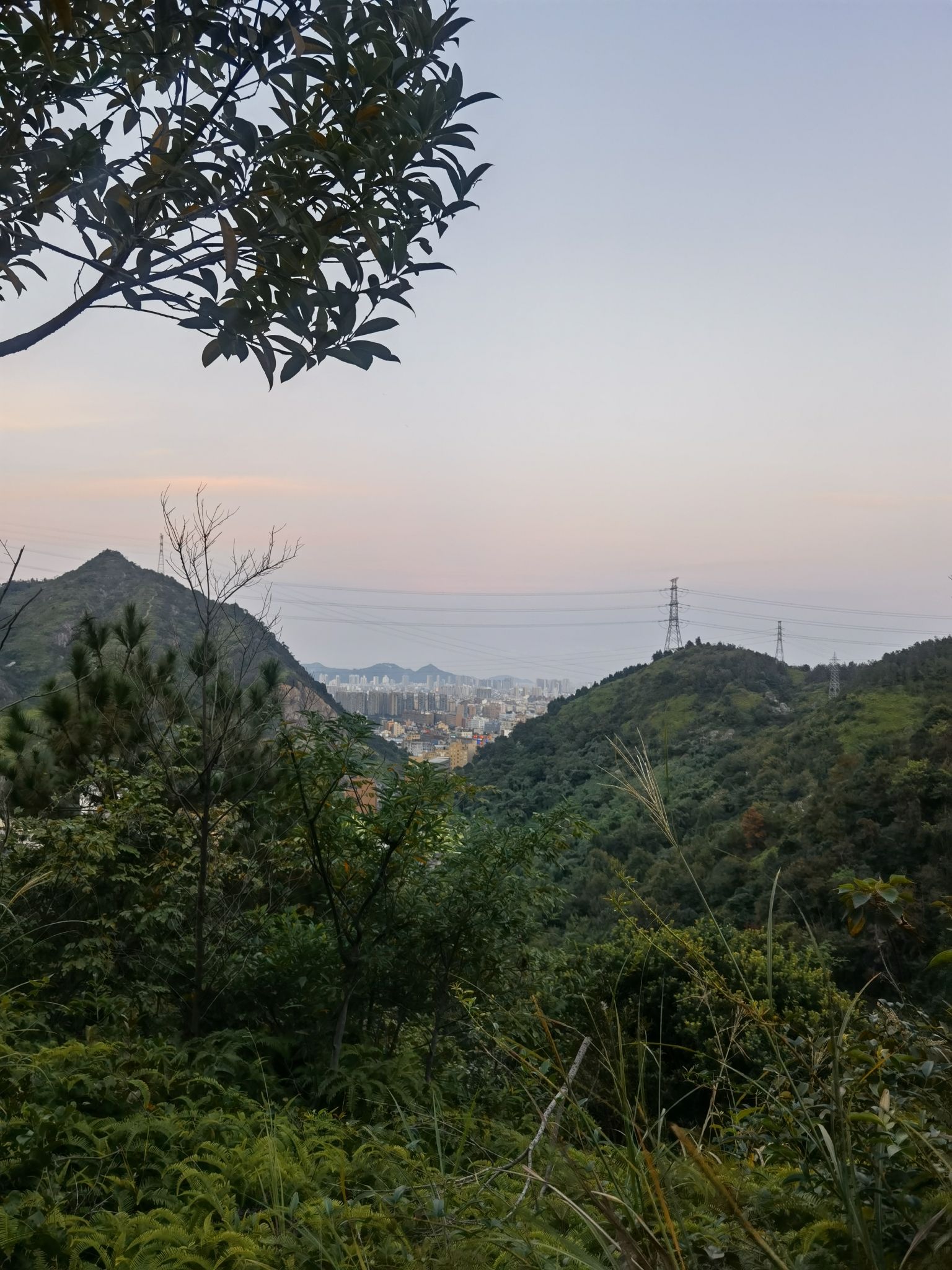 坂塘公园旅行图片 3