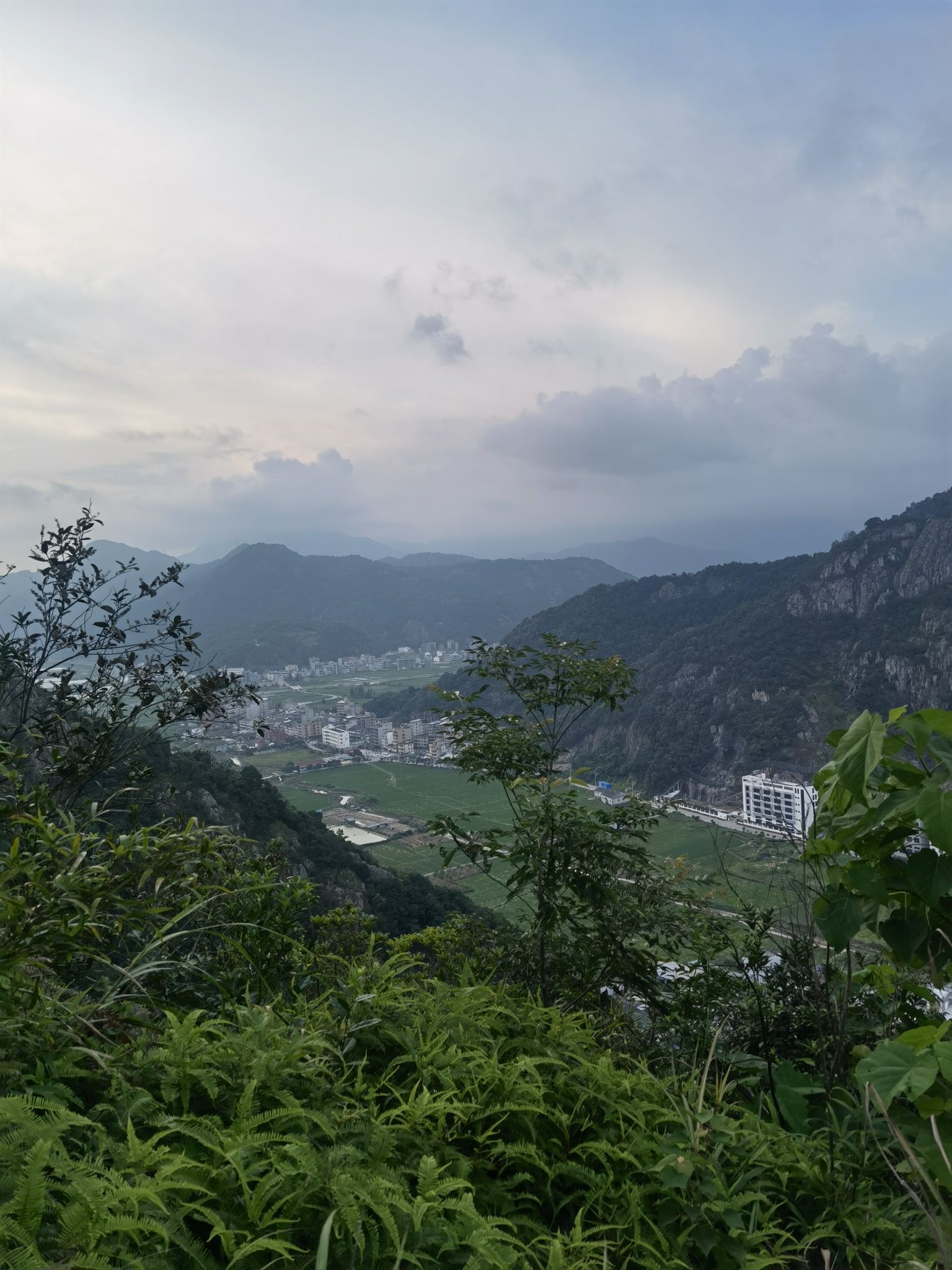 坂塘公园旅行图片 1