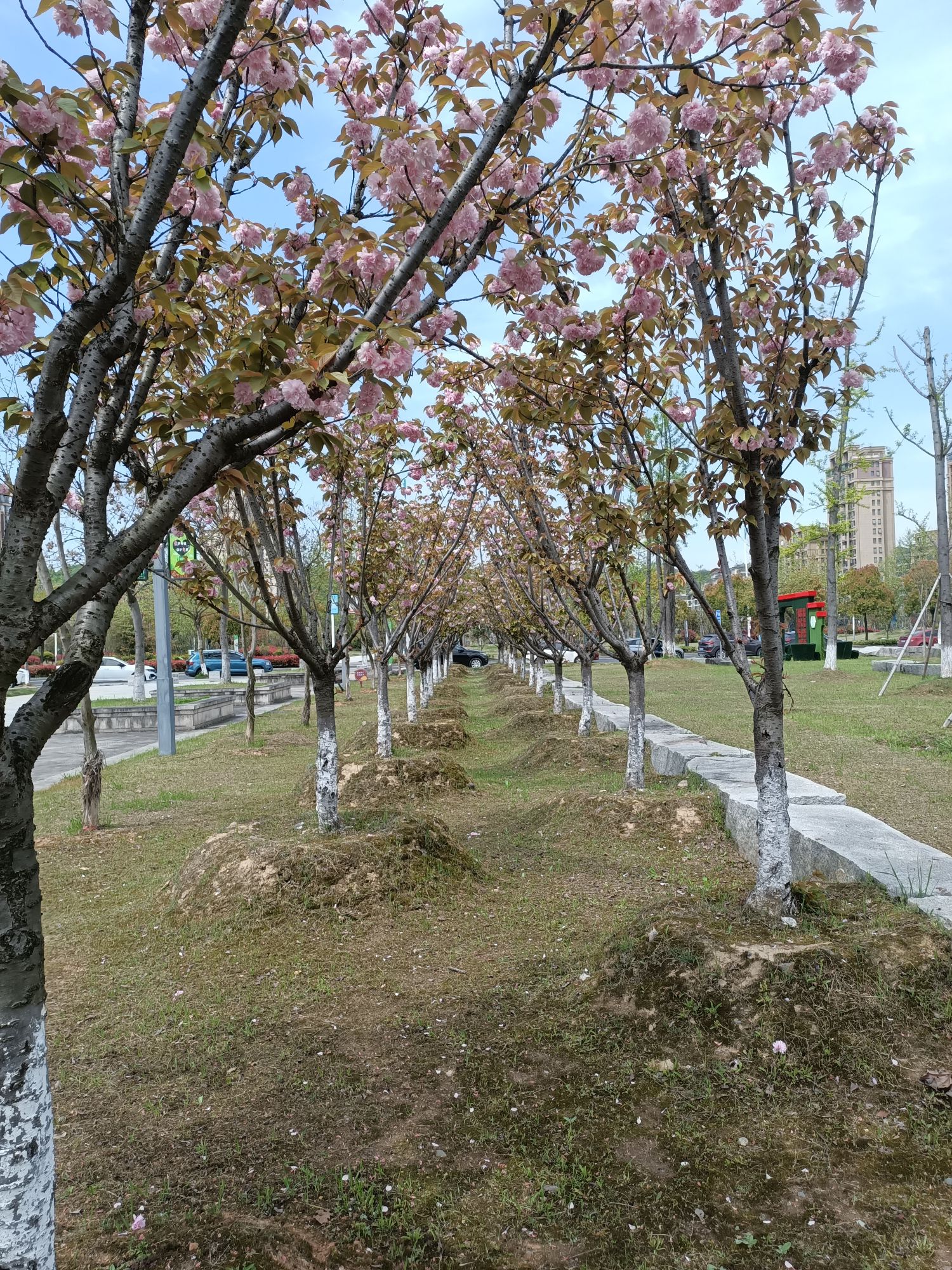滨河公园